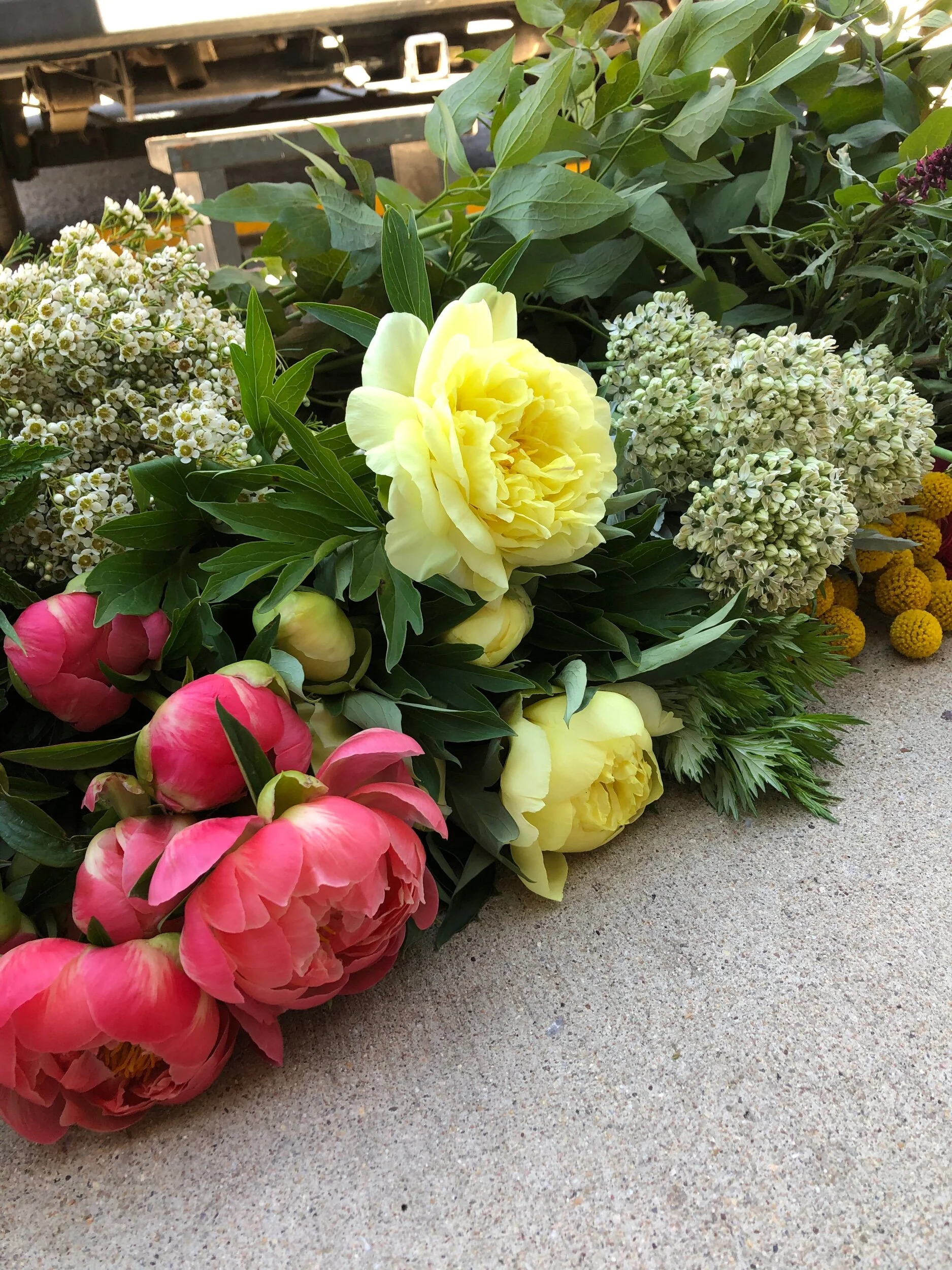 0D191A87-6DDE-473F-B0F7-E6350DFB5374