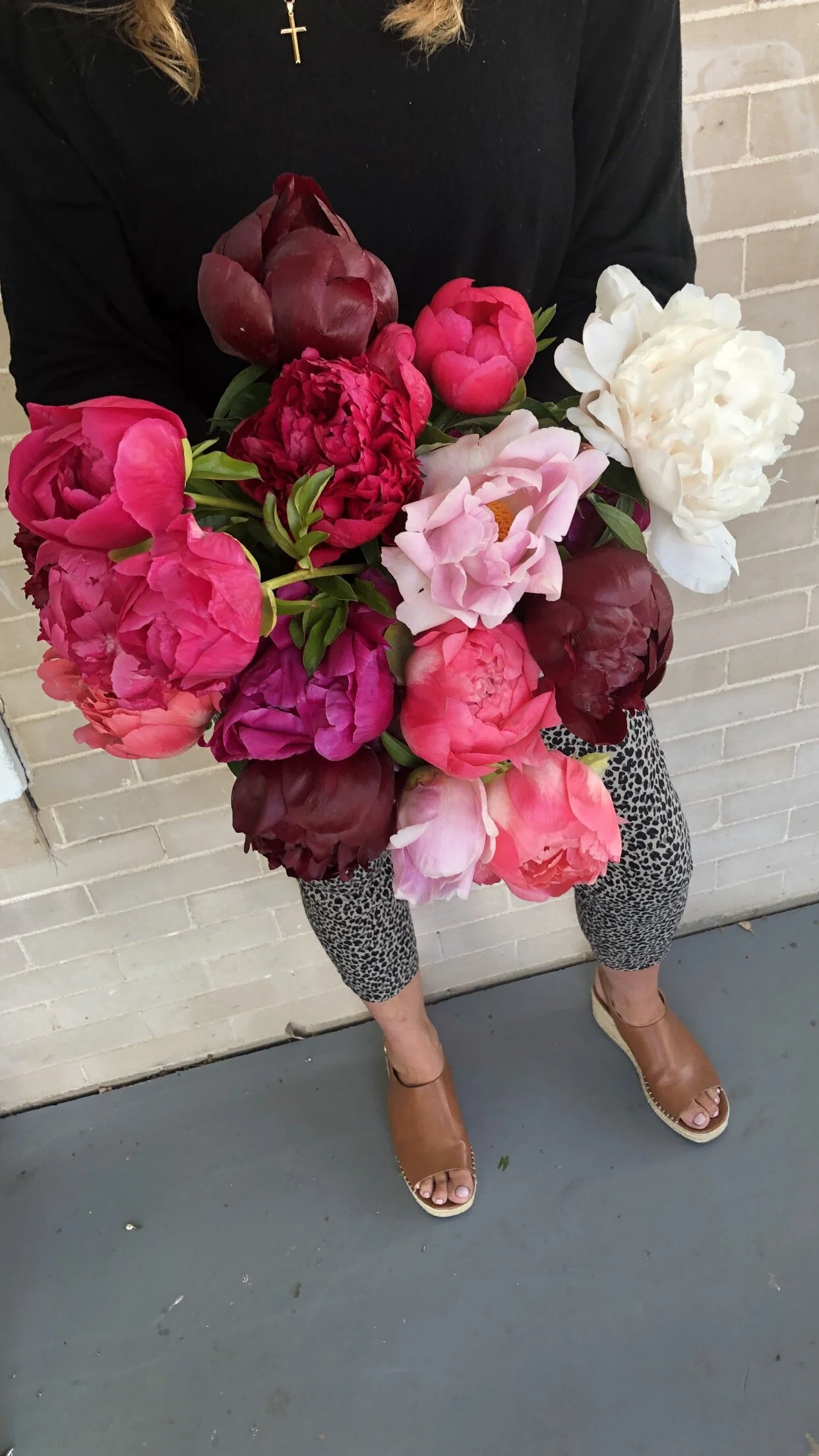 0D45B274-B8BC-446D-9633-4E32F987A0AC