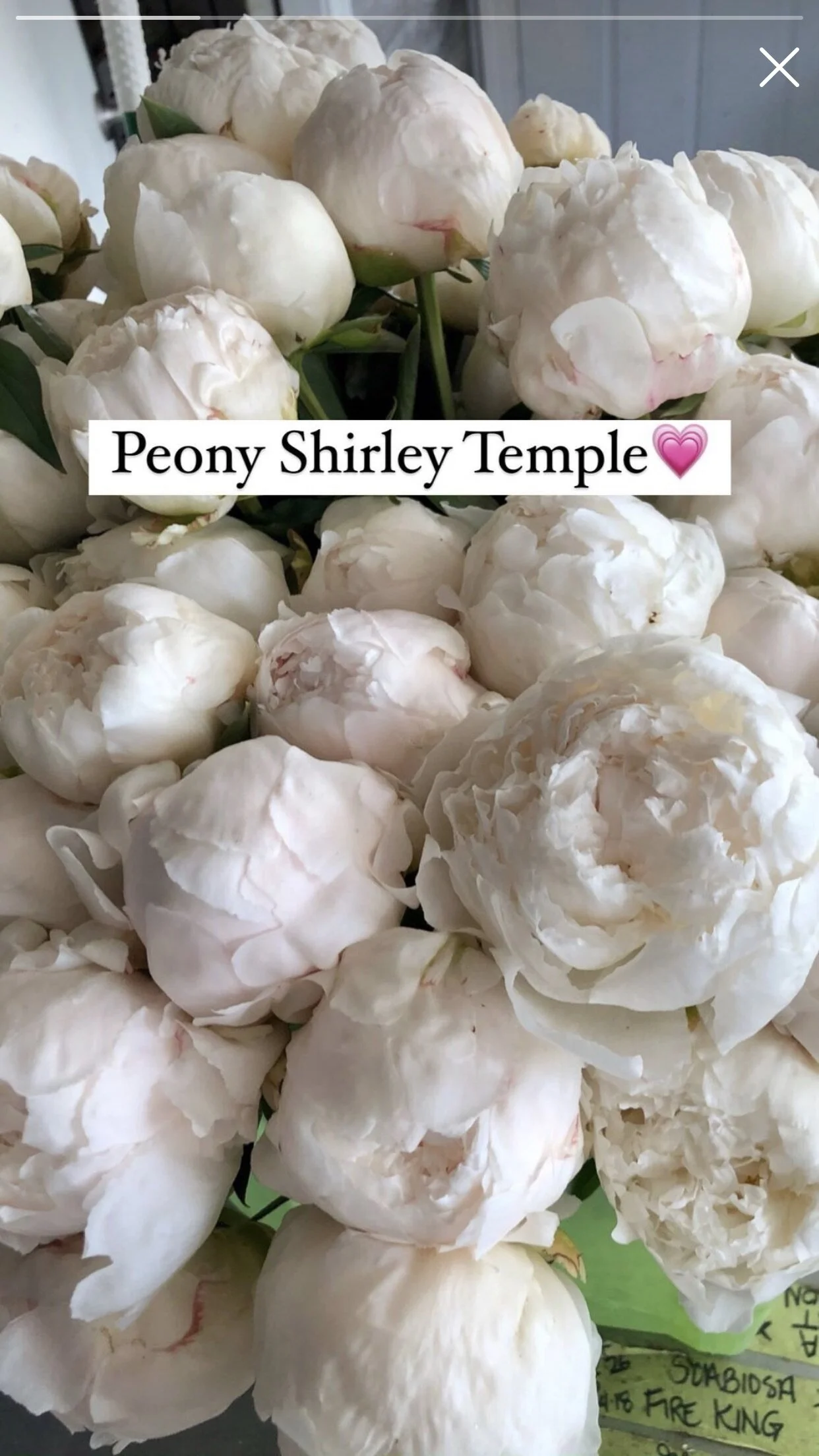 3976C6CF-E581-4417-85CE-C7CBB901901B