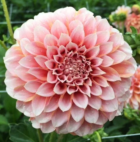 94EC6AA8-2567-4B64-AF4A-2F1BFF40F67E