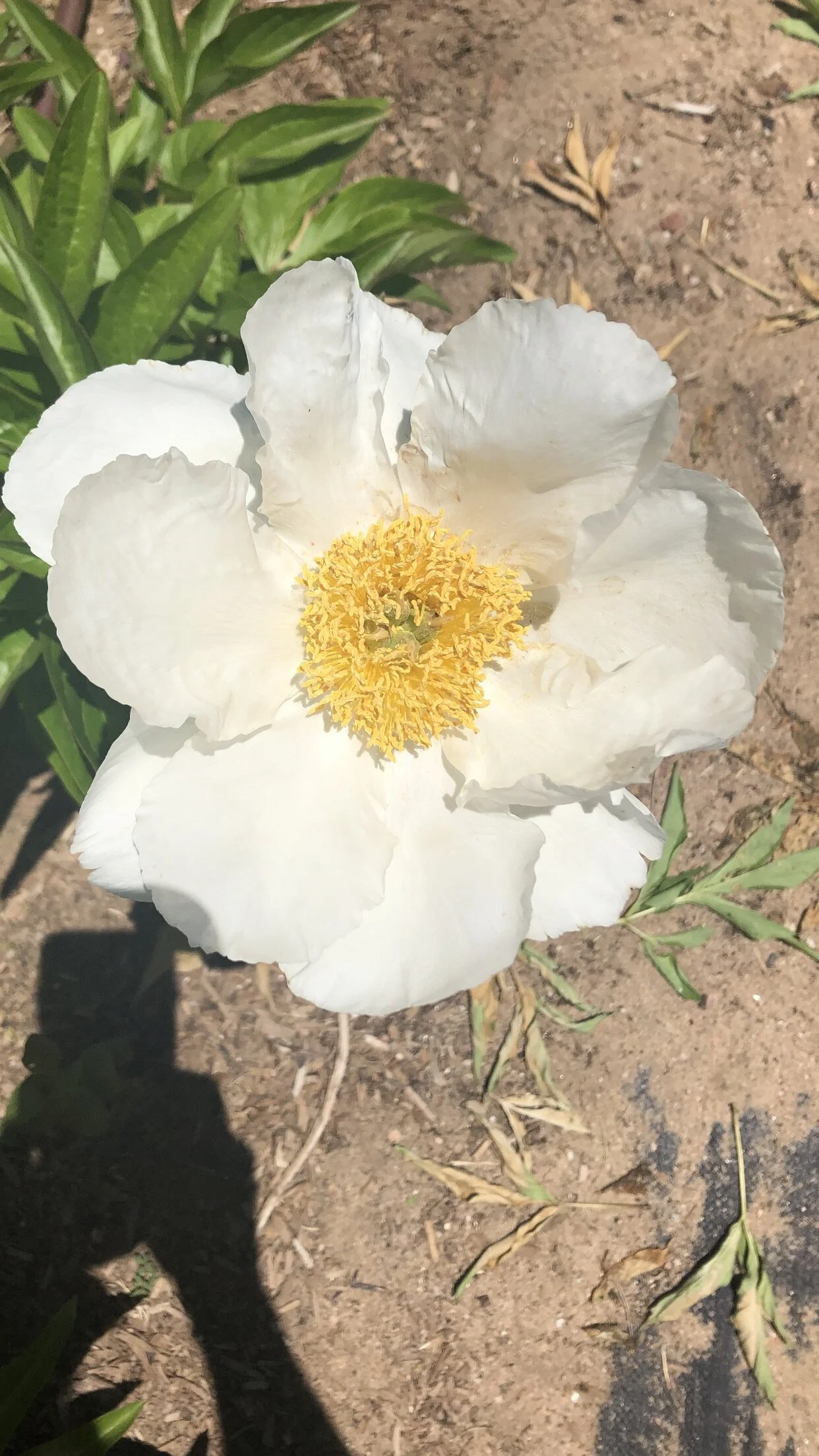 6196BF2B-658F-4AFB-B511-5DF23FD7D058