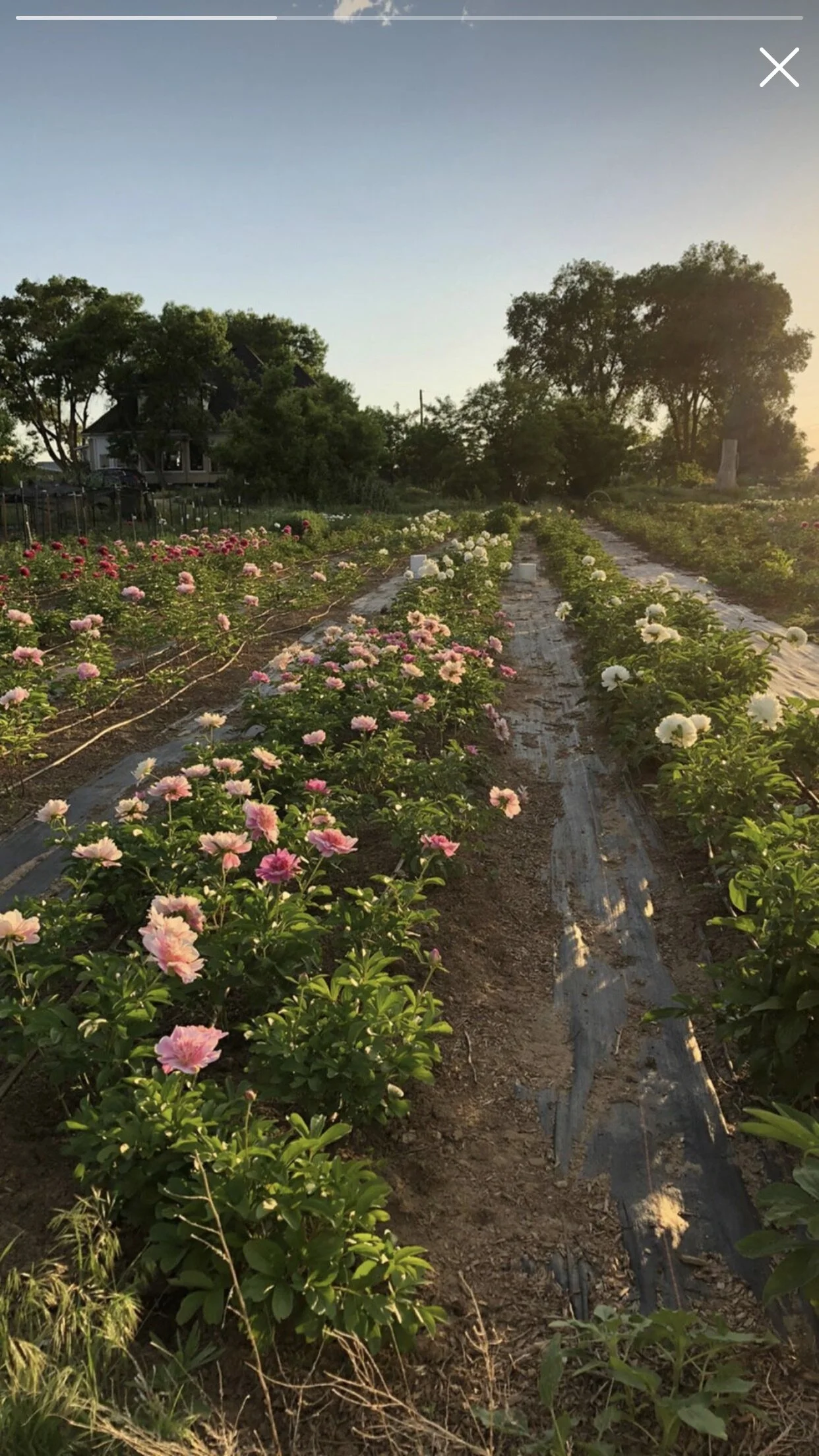 D050BA8F-37F2-4AED-89CE-DB226A83F141