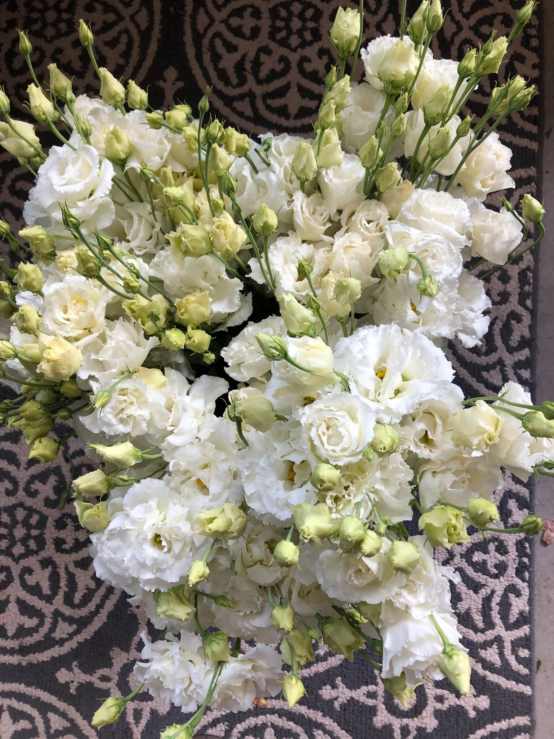 7AA5A812-8829-4F36-B392-D9870D847597