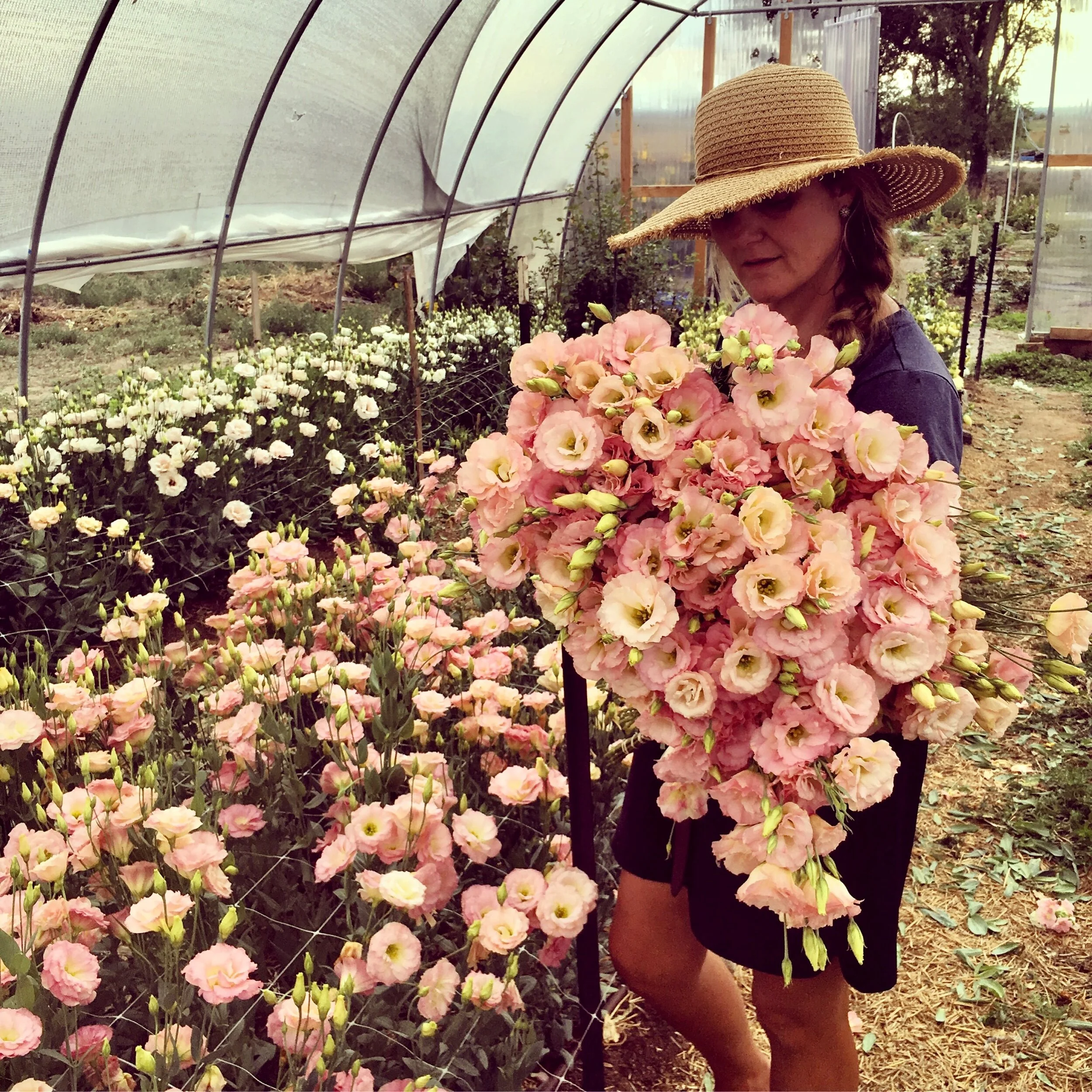 EAF5EAE0-348B-4ABF-A290-22A4241493C5