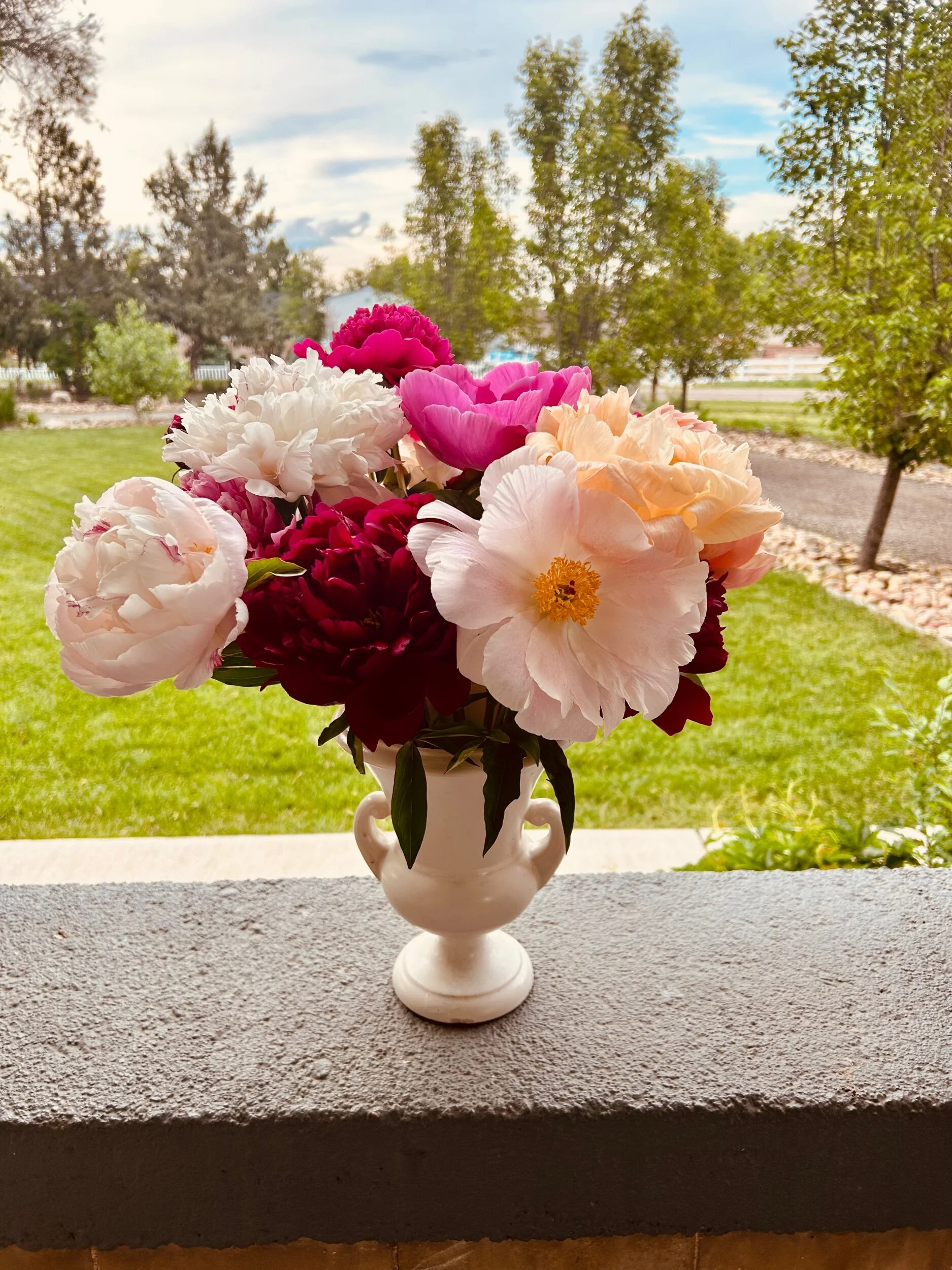 D71821EA-610E-4EBC-B7F6-2176D80E17B0