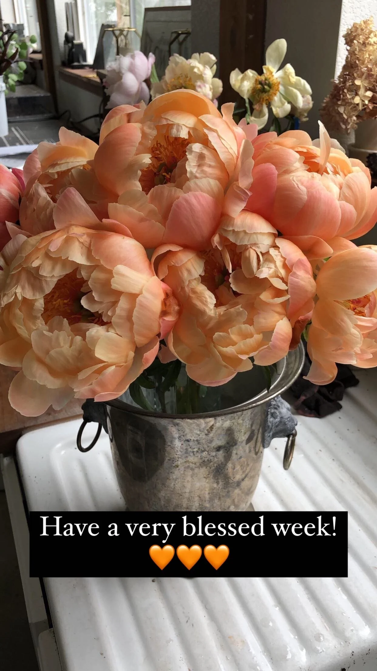 8A606F6A-4175-41F6-AFD6-D8D2AB744994