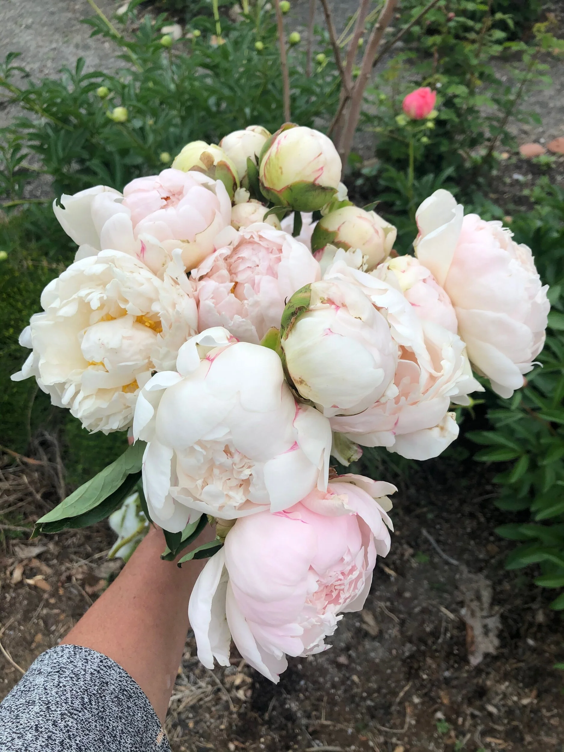 E7CF9BC9-DB99-4F3D-86B1-0068E84C927F