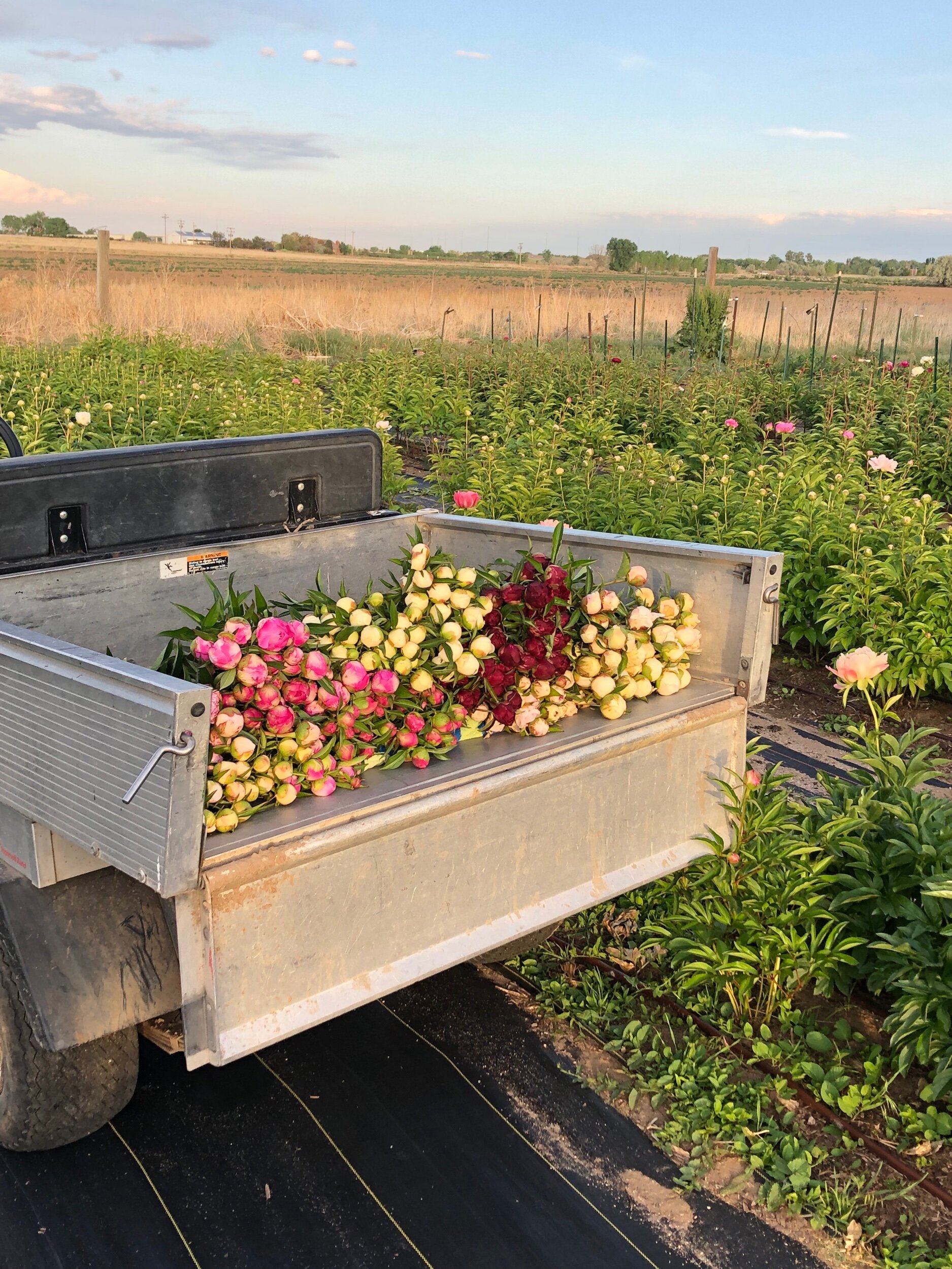 709CF548-761E-47A7-A25E-0F16931EDA86