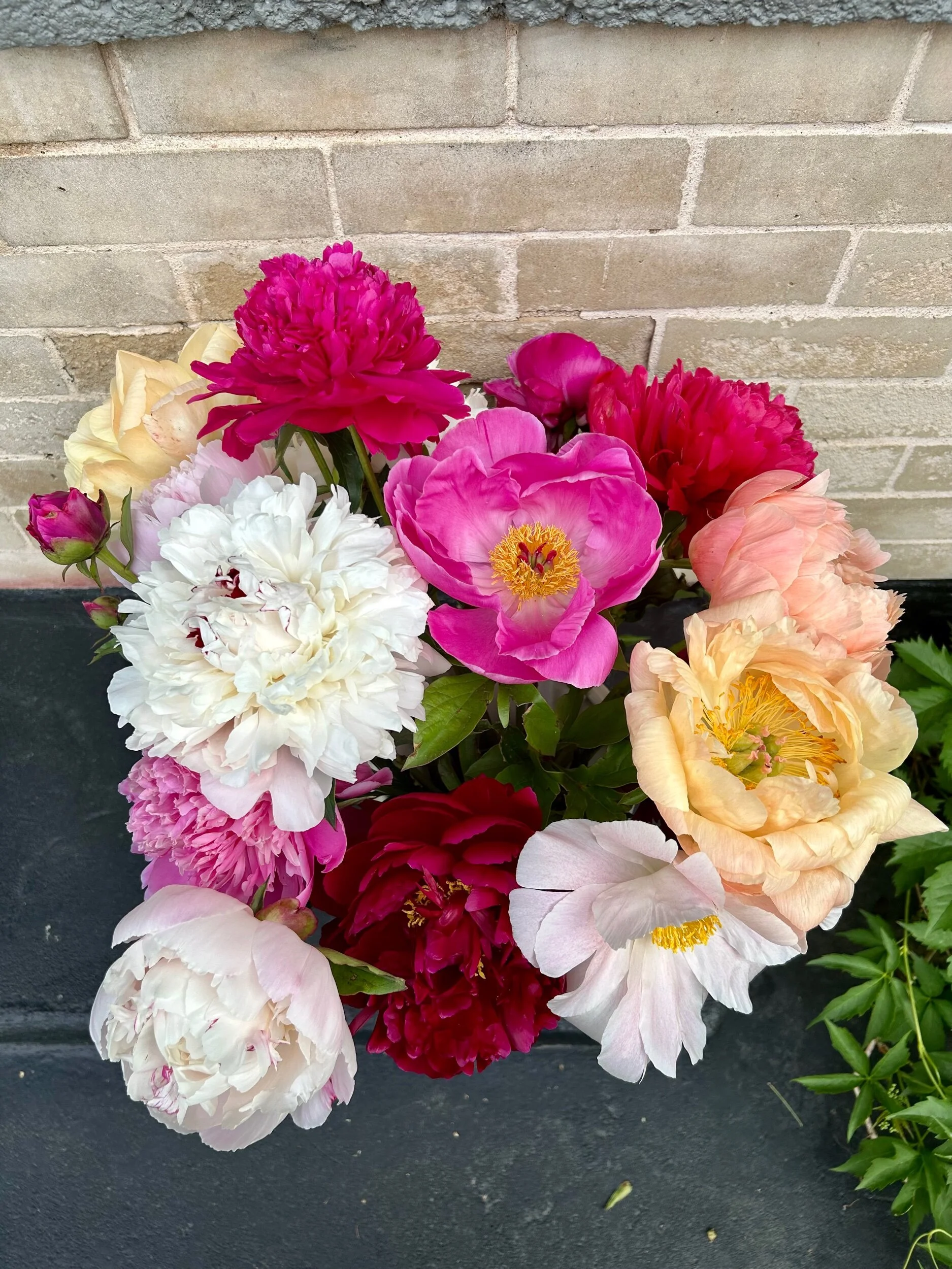 66806EB6-2786-4CE8-90FF-463A34C5588A