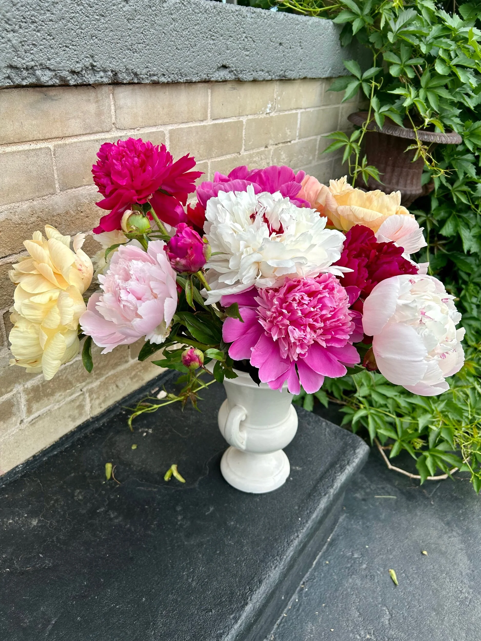 43DABEA7-2048-4E4B-9521-9CFFF143B0D8