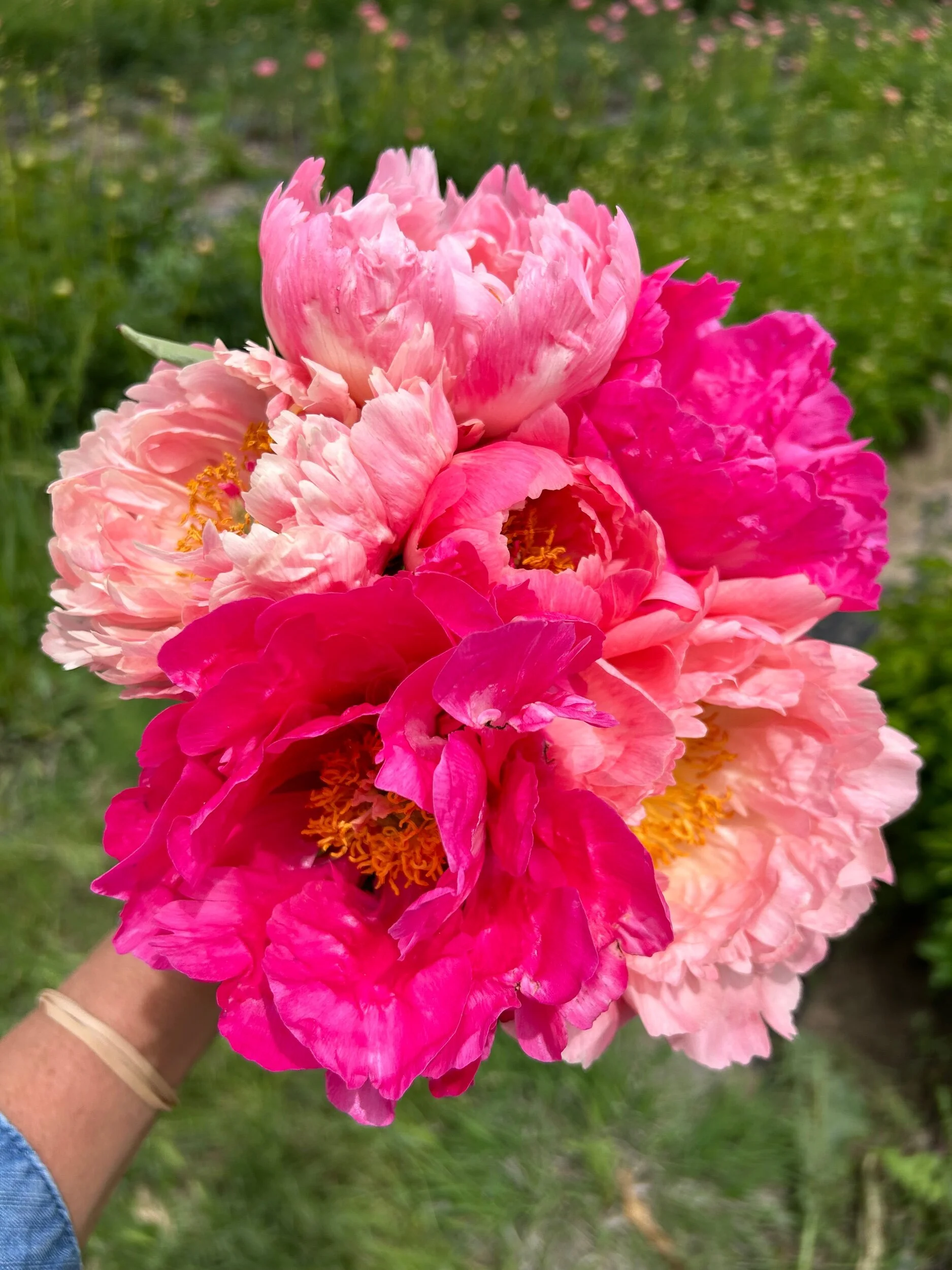 2733C27B-1600-4F9C-B18B-C1AA4FE4029F