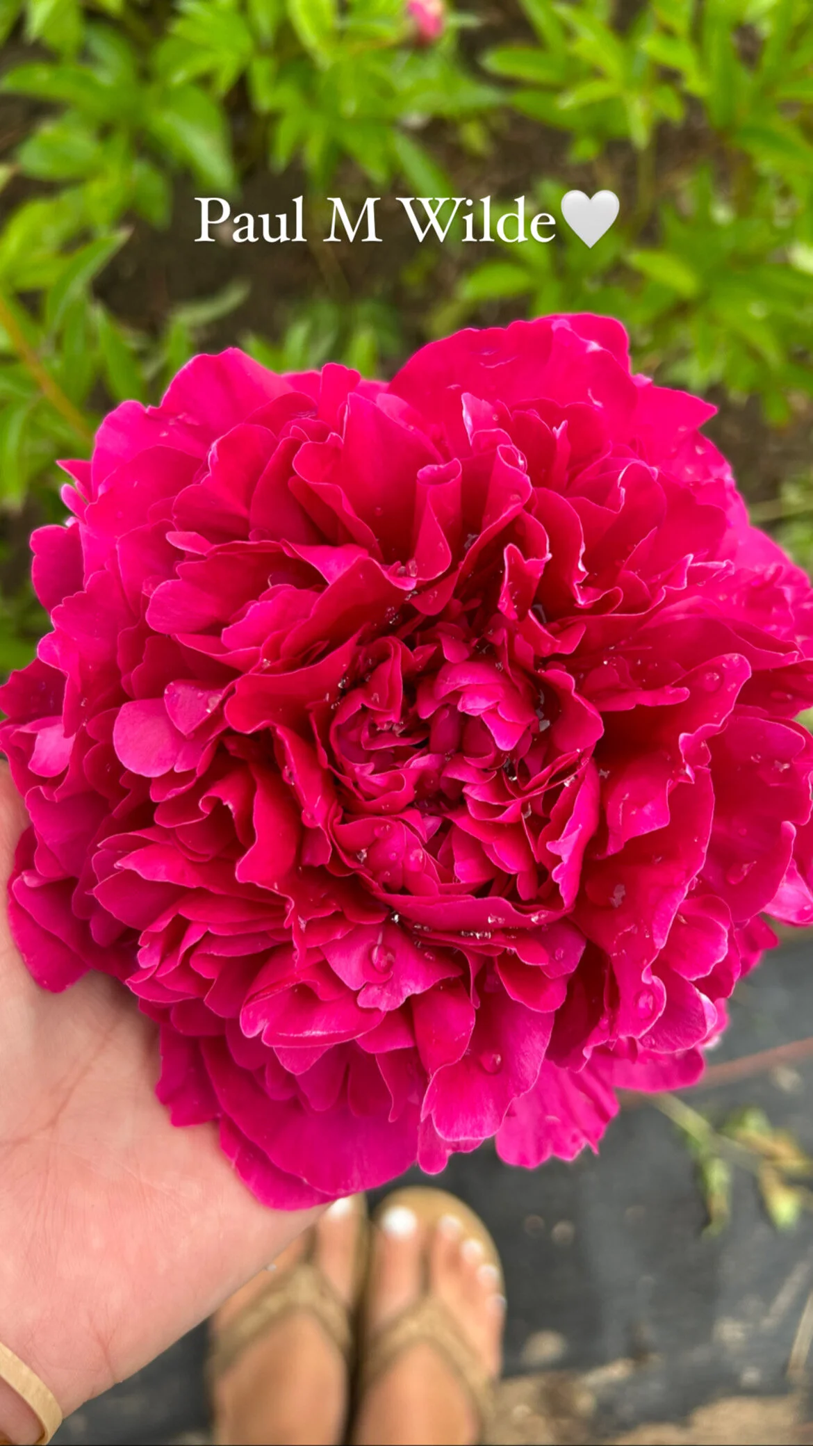 02B40060-7225-4DBA-9A0A-9C4DB79ADCA6