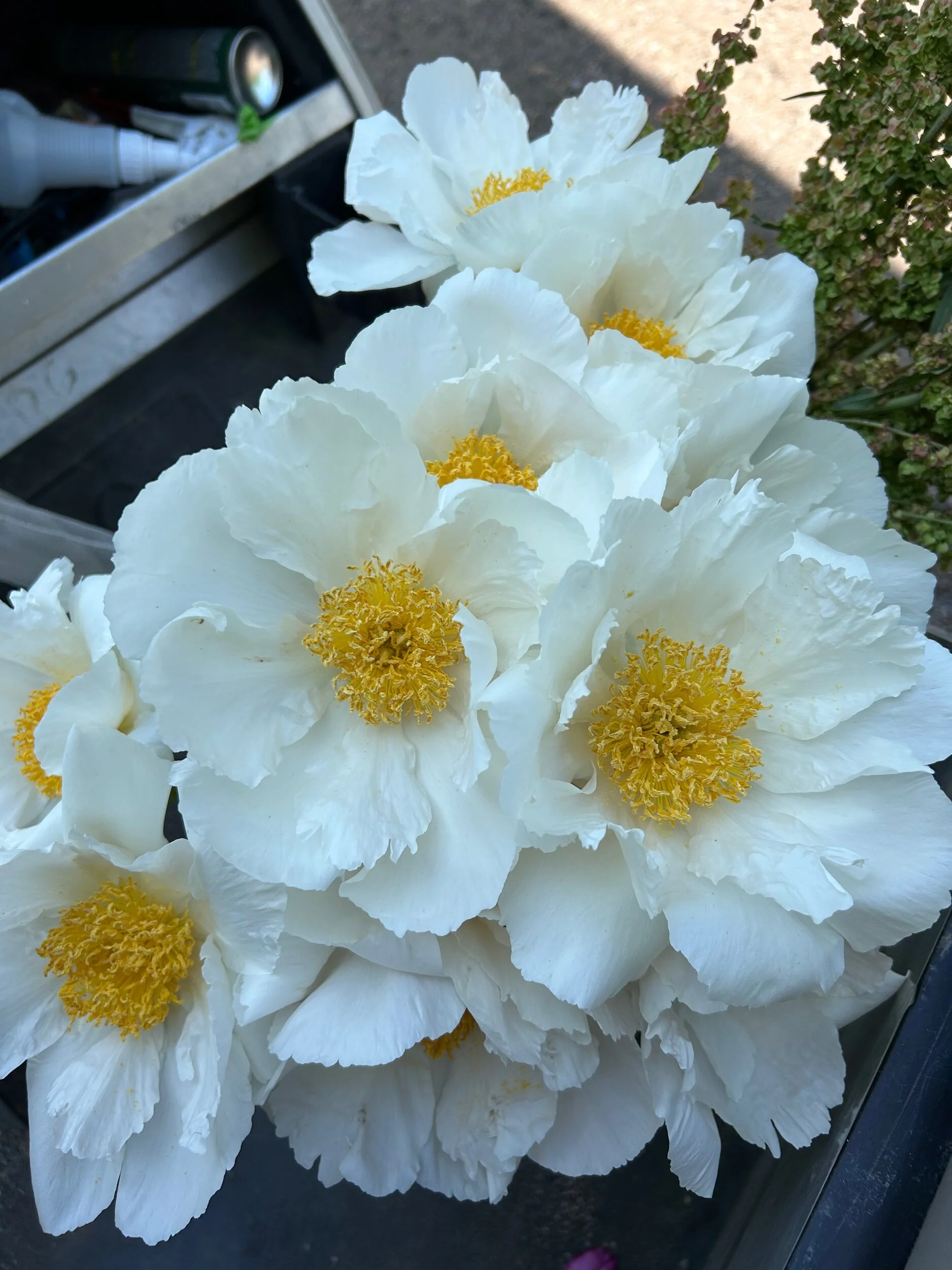 8C658673-4E25-49EC-B42D-0B4F63AFF916