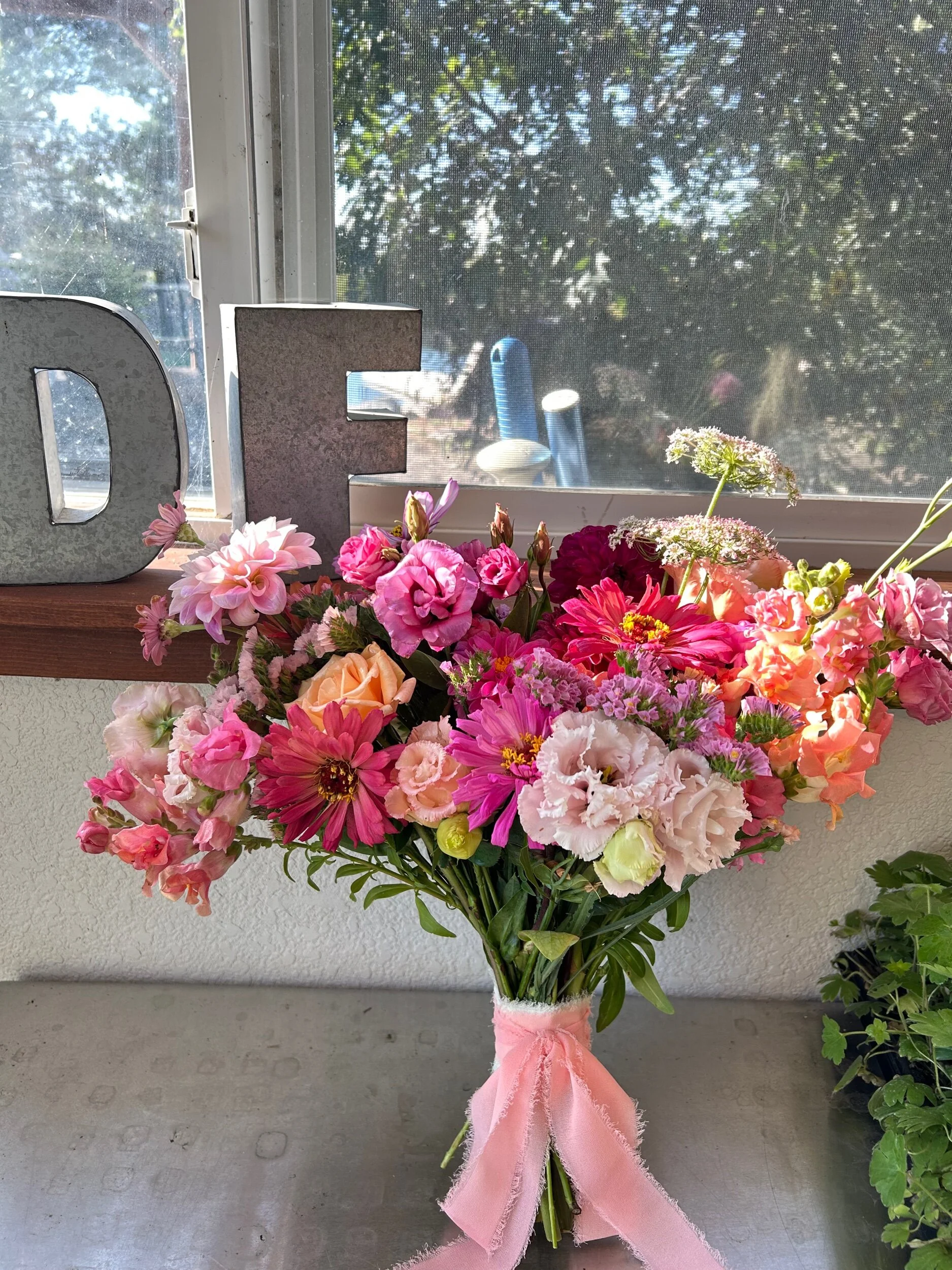 B2DFCAB5-D0B9-4598-A277-A1CB4F825C98