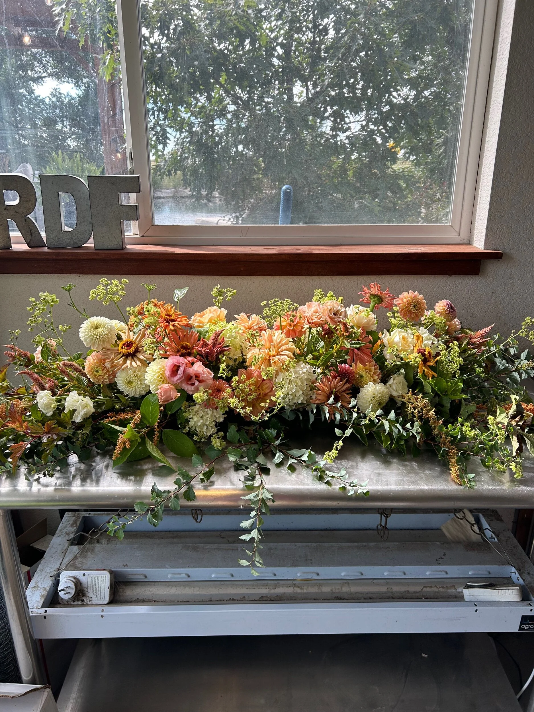 208C053A-E6CA-4915-93A0-4BF4701BAF19