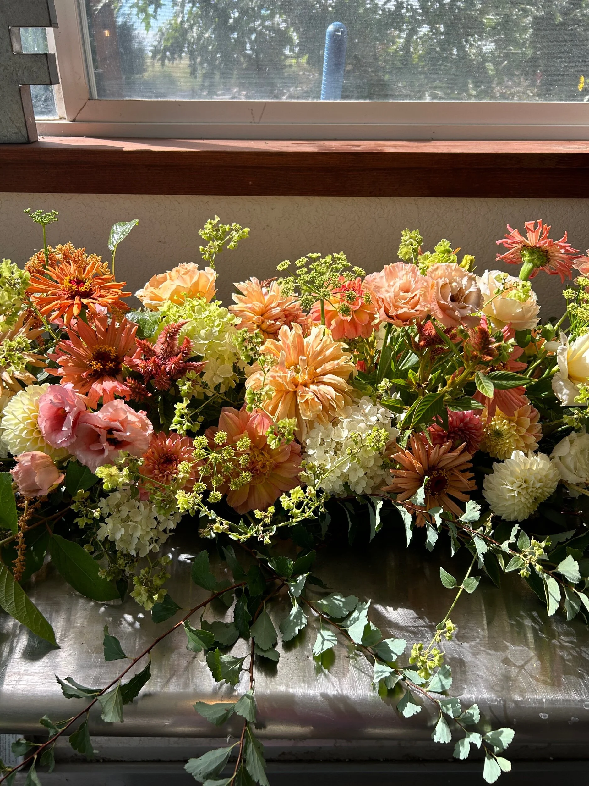 4F506482-EEE7-4819-A68E-348D8FB06B63