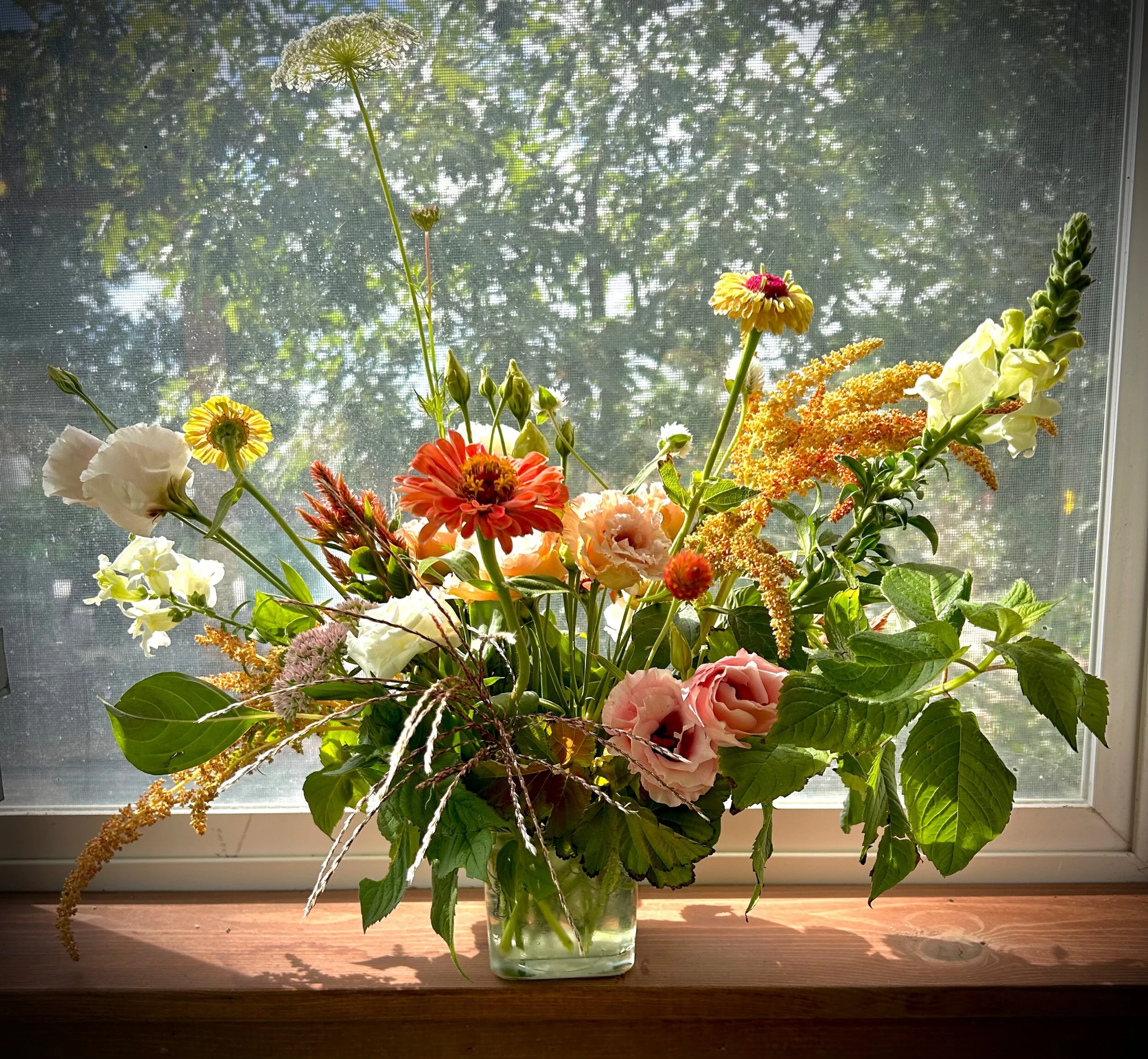 8D5EA5A8-C63B-45ED-9203-A03900EC2DAC