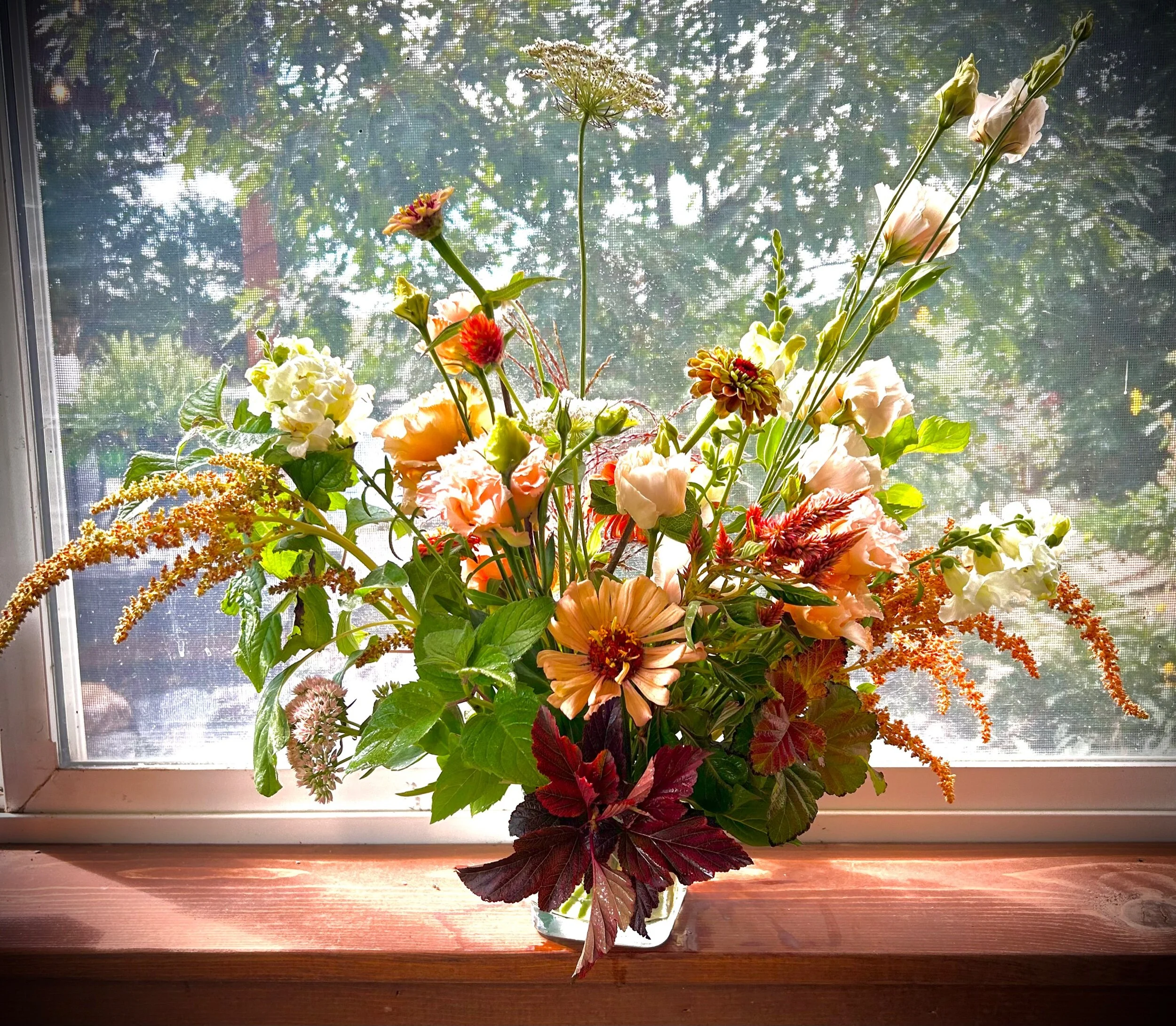 6E5FEE7A-3D5D-40B9-A28E-B1410E64F621