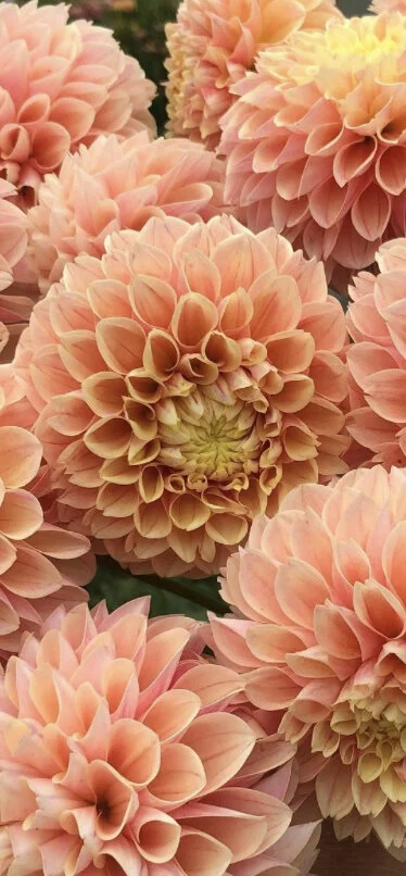 AA48B5E5-8D53-406B-8B4B-A52271359A35