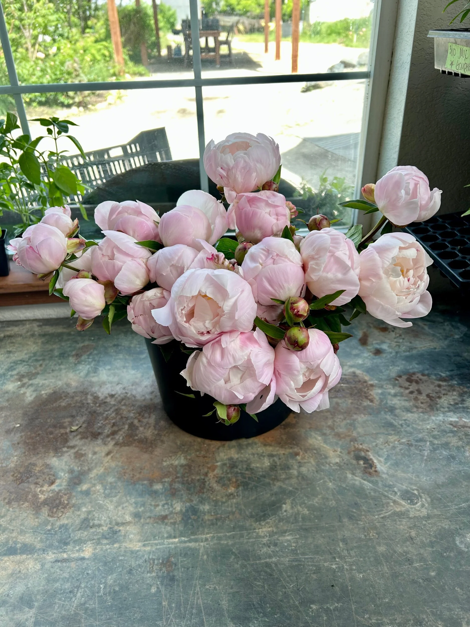 6AA0F63F-C6F7-467A-8717-3A0F8D1FAF7B