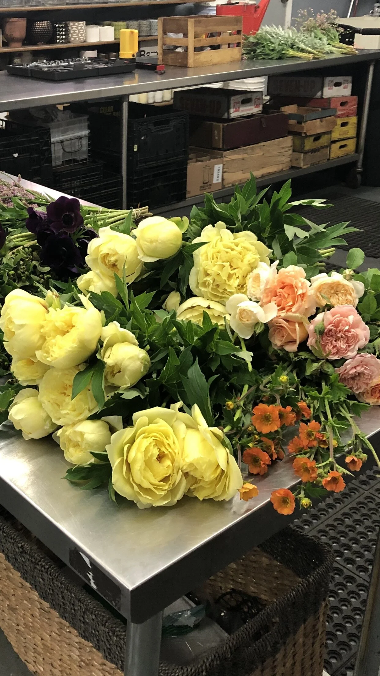 AA068E95-5C24-41D3-81B2-A62136F9F45A