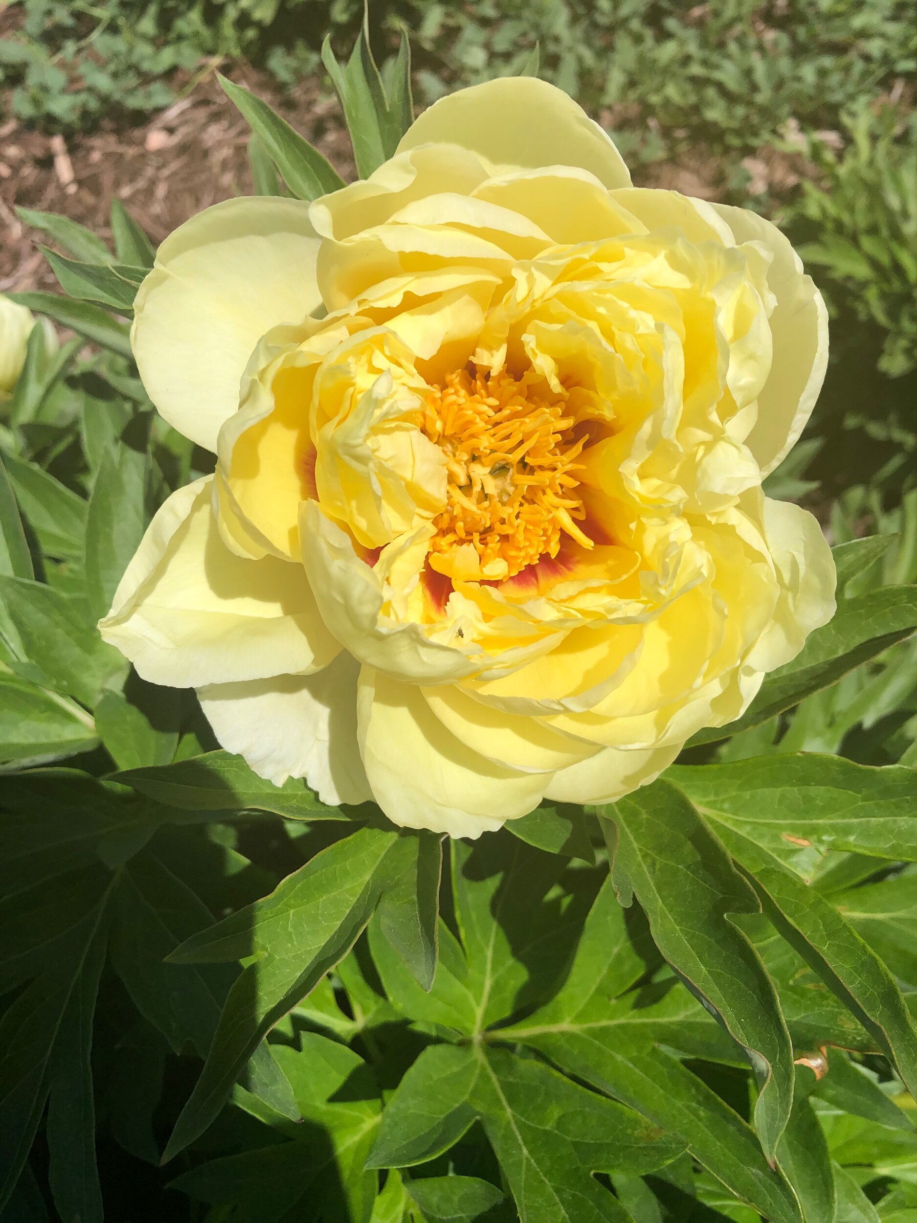 BD179494-441F-45B8-8D73-1160D2307912