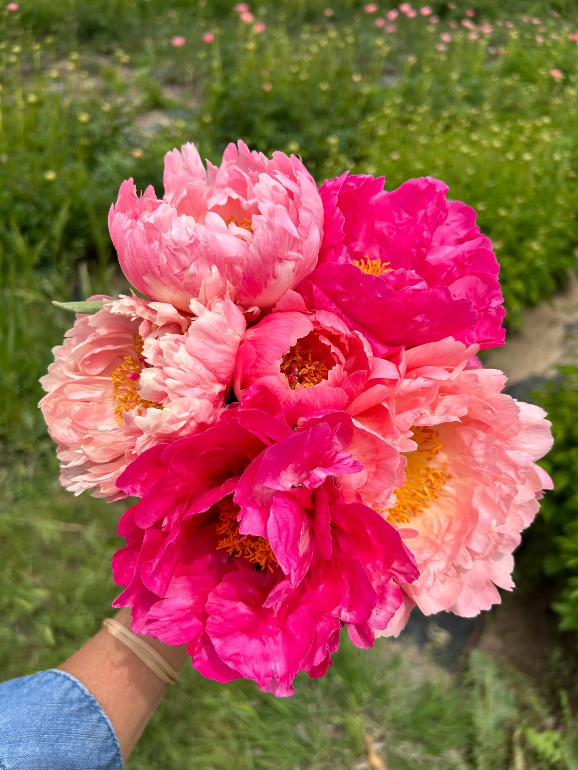 539533E7-940B-47F6-B66B-164EB39C3B98