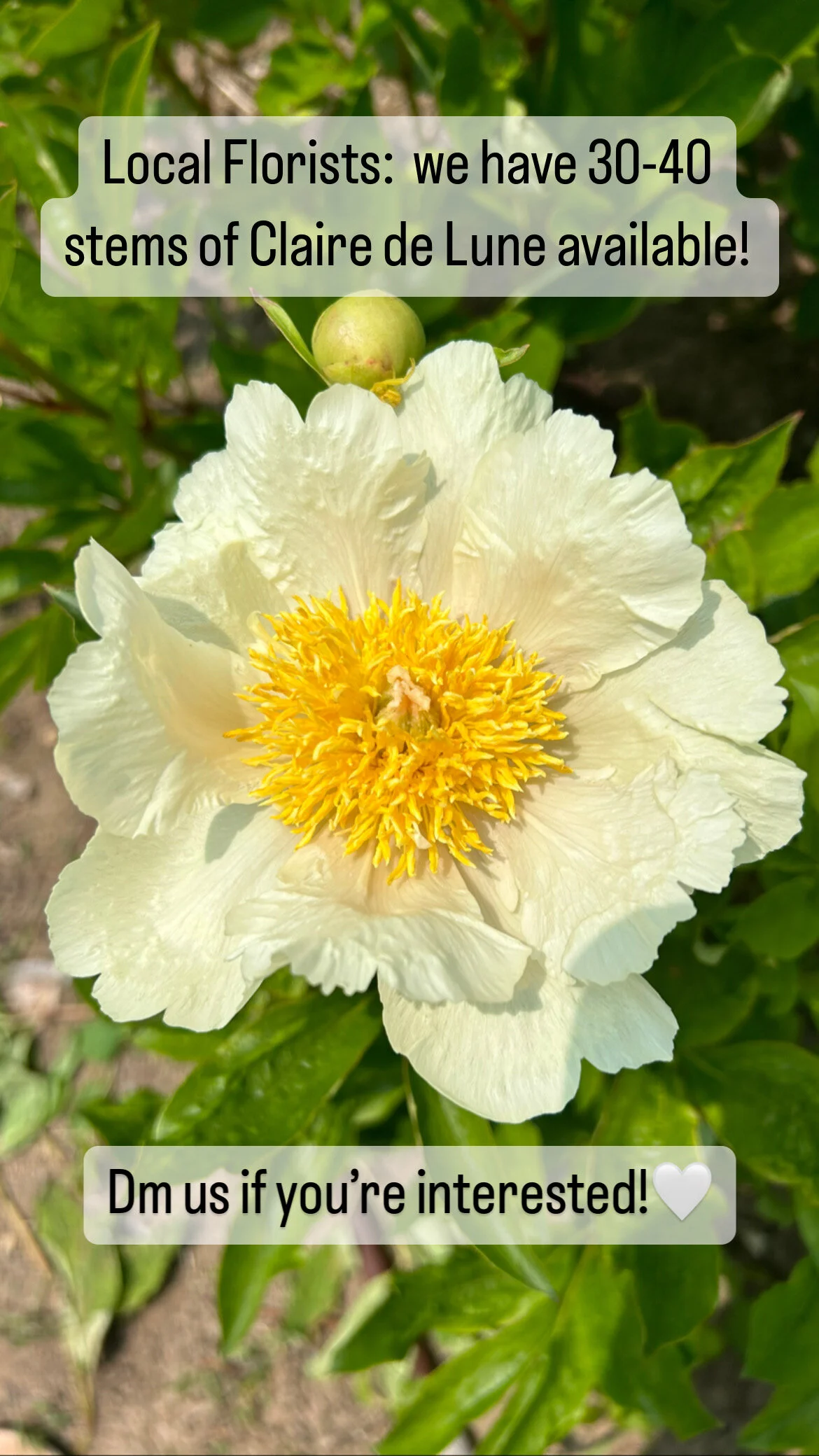 B802EAF3-820B-484E-A2E2-81780B253810