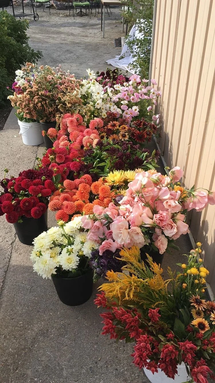 292EEF5B-5D57-47C3-B5BE-38A5957616C4