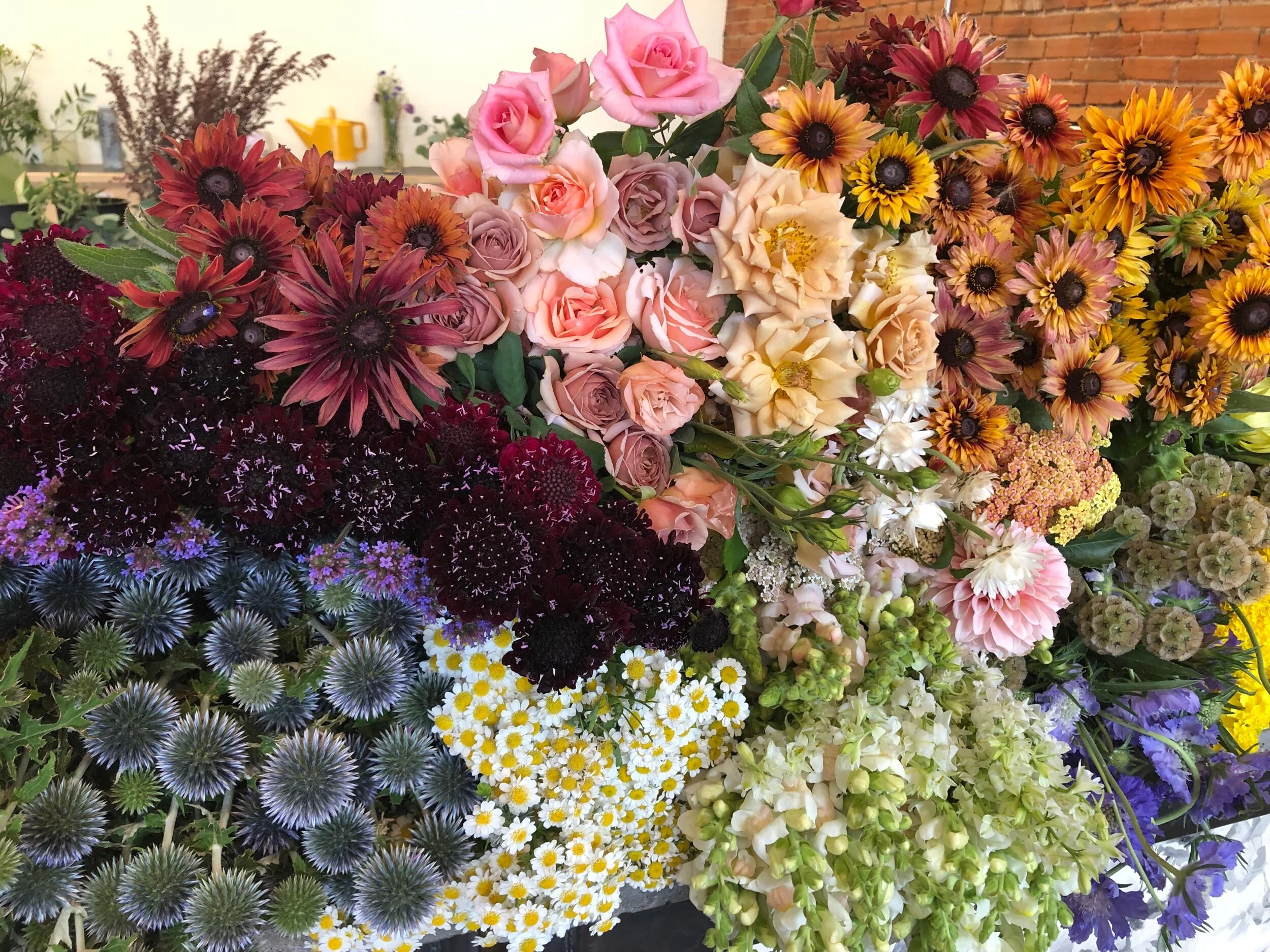 8FE63391-A78C-4B62-801B-2D6A04B7DD41