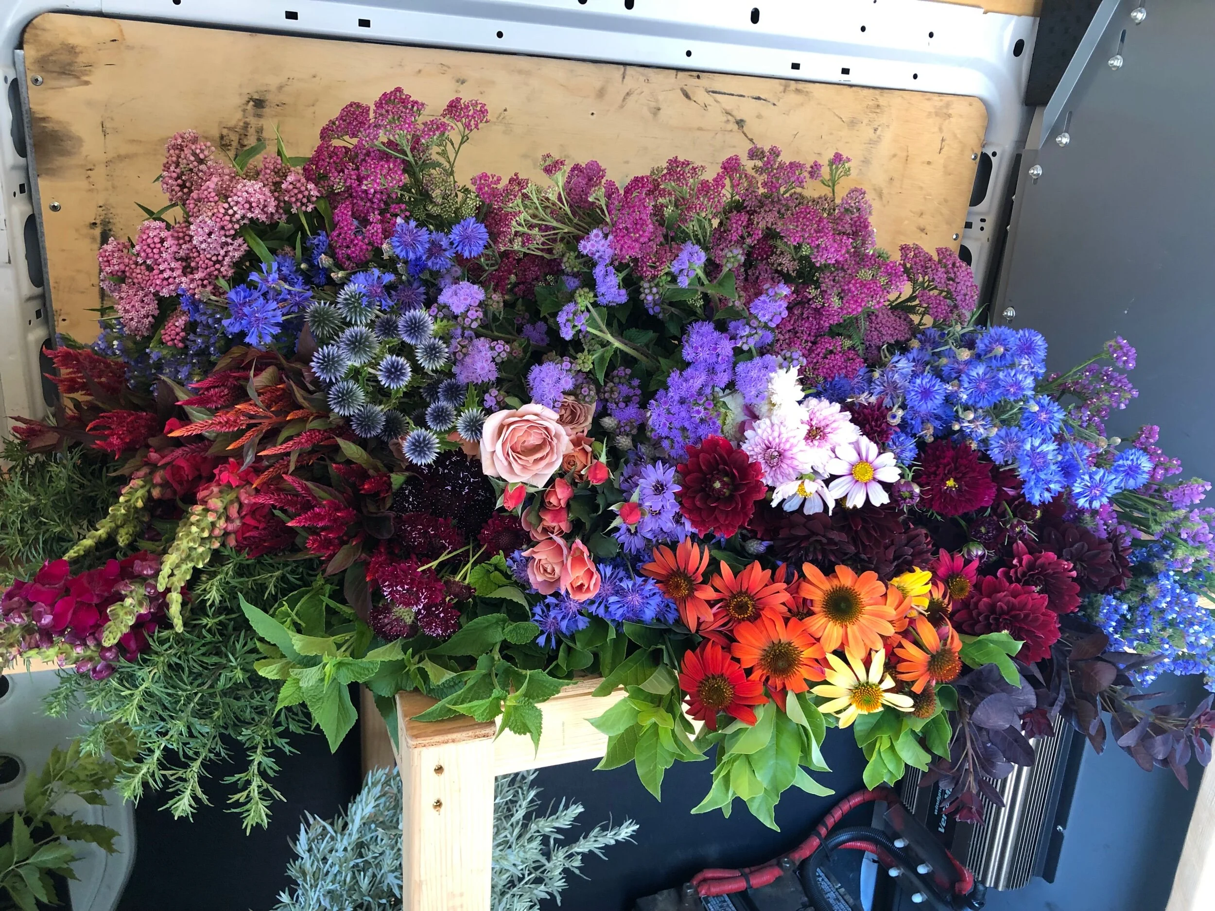 3F7CCF35-D136-4593-8893-A56077DB8D5F