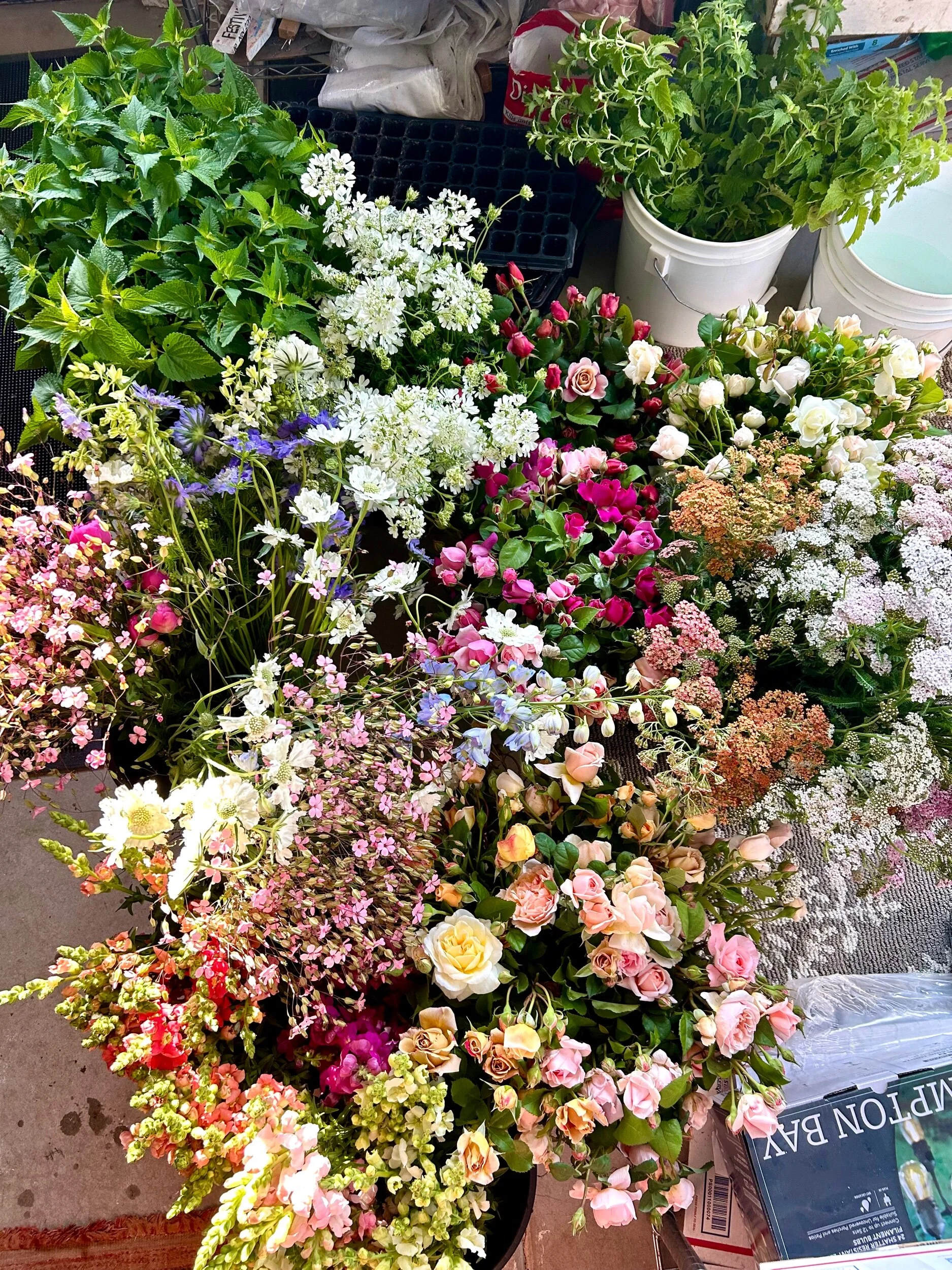 558318A4-83B2-451E-8B6F-6E3FBA4B4189