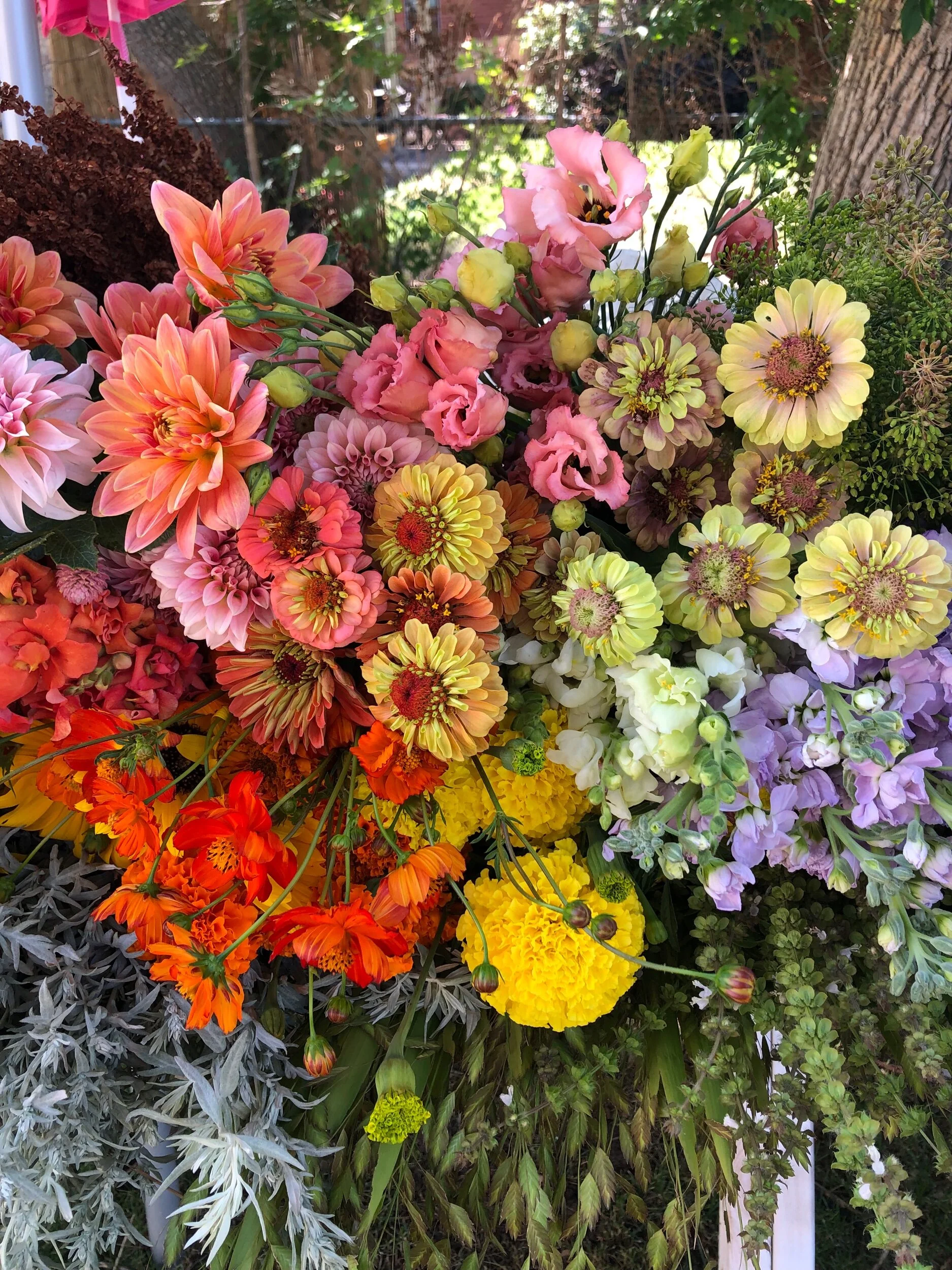 570CD447-3A65-478F-8E23-BA45D6BA2BDC