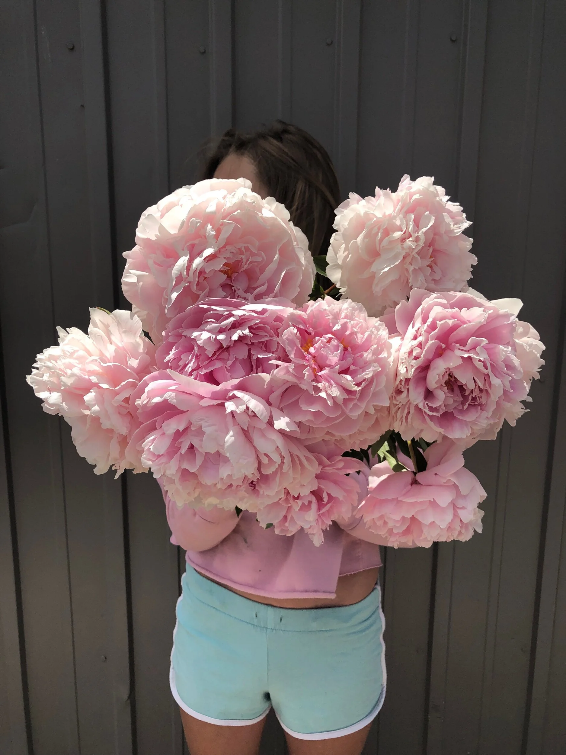 FB45CD15-8148-4A80-9541-54385FCDC58E