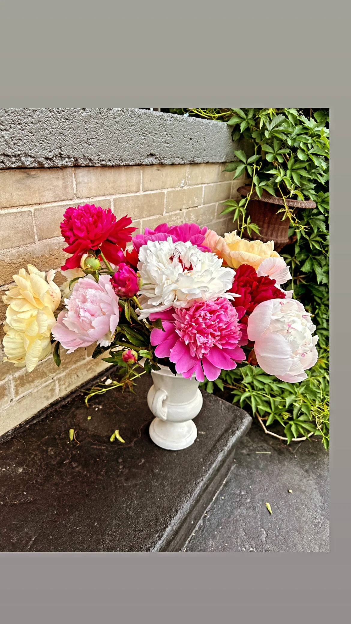 5BEF189F-C36B-4B2D-A334-A40C8CEEDA51