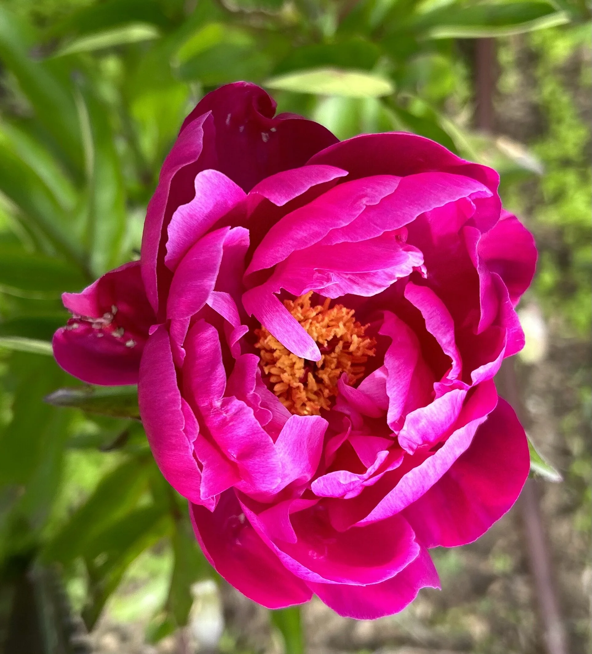 9C6D1A2A-E2C3-4ECA-A154-0CE6DD0E2A29