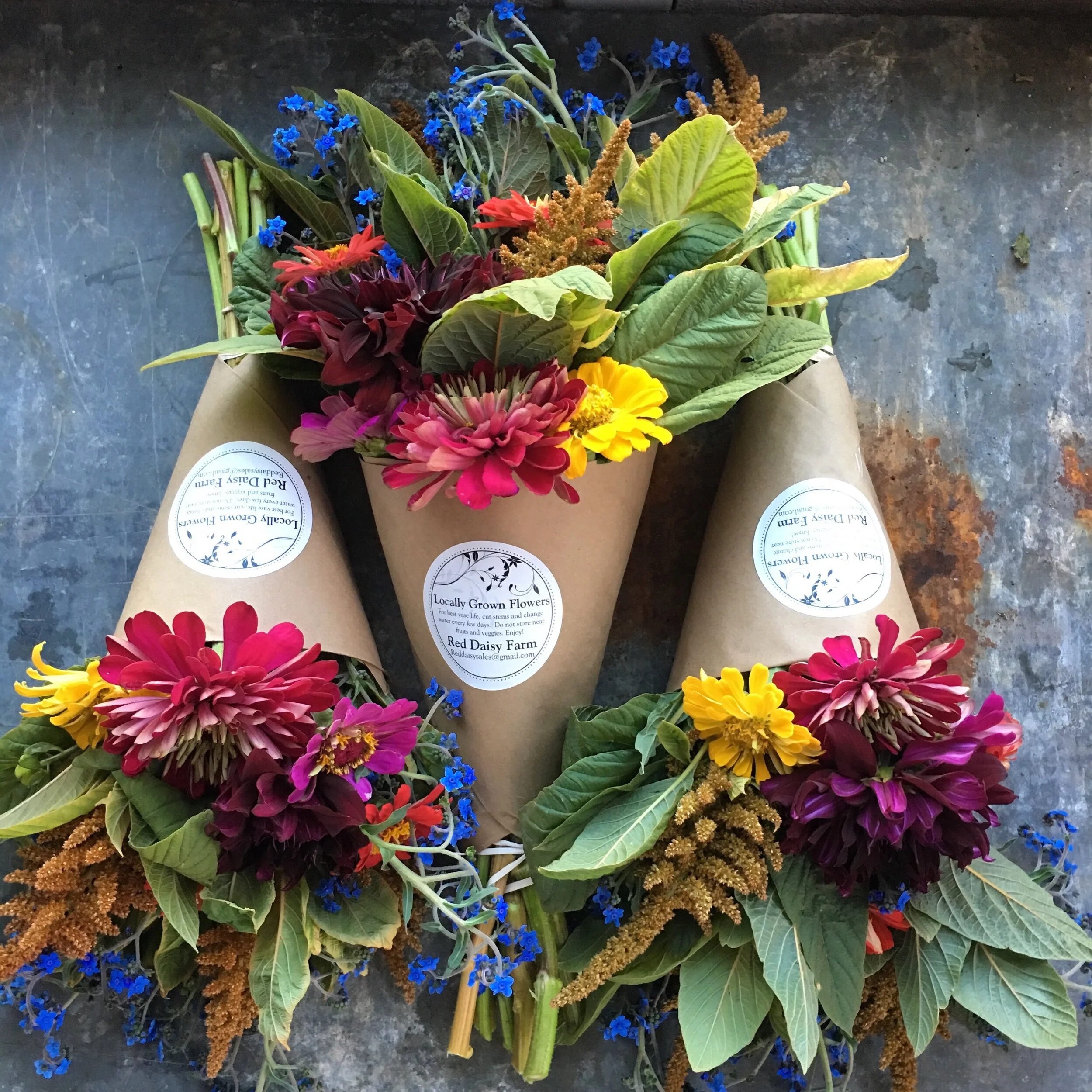 96FDE567-D4C3-4697-A3EE-C785320824E2