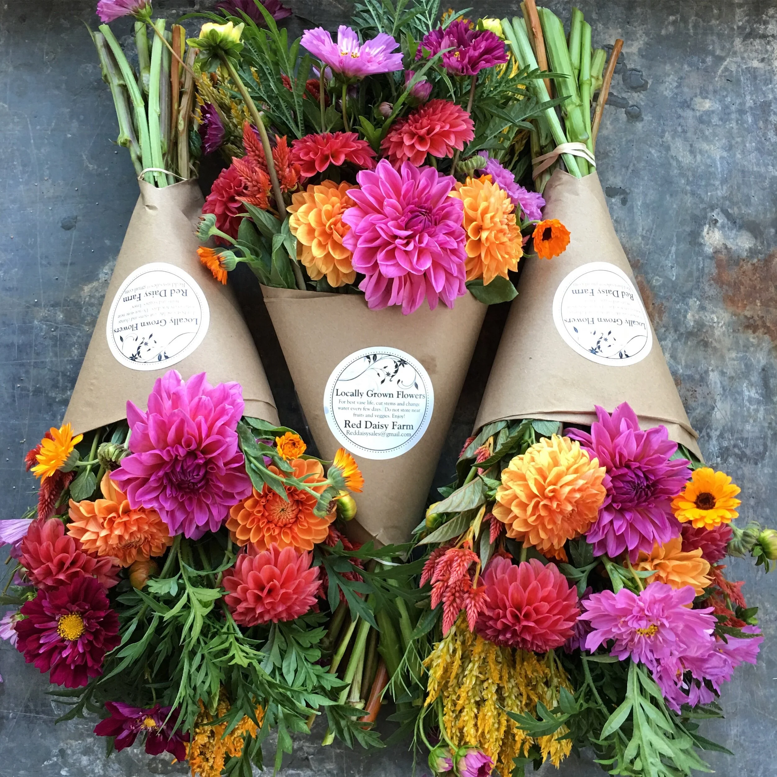 80118DFF-F91F-46EF-8866-105876F1A9D0