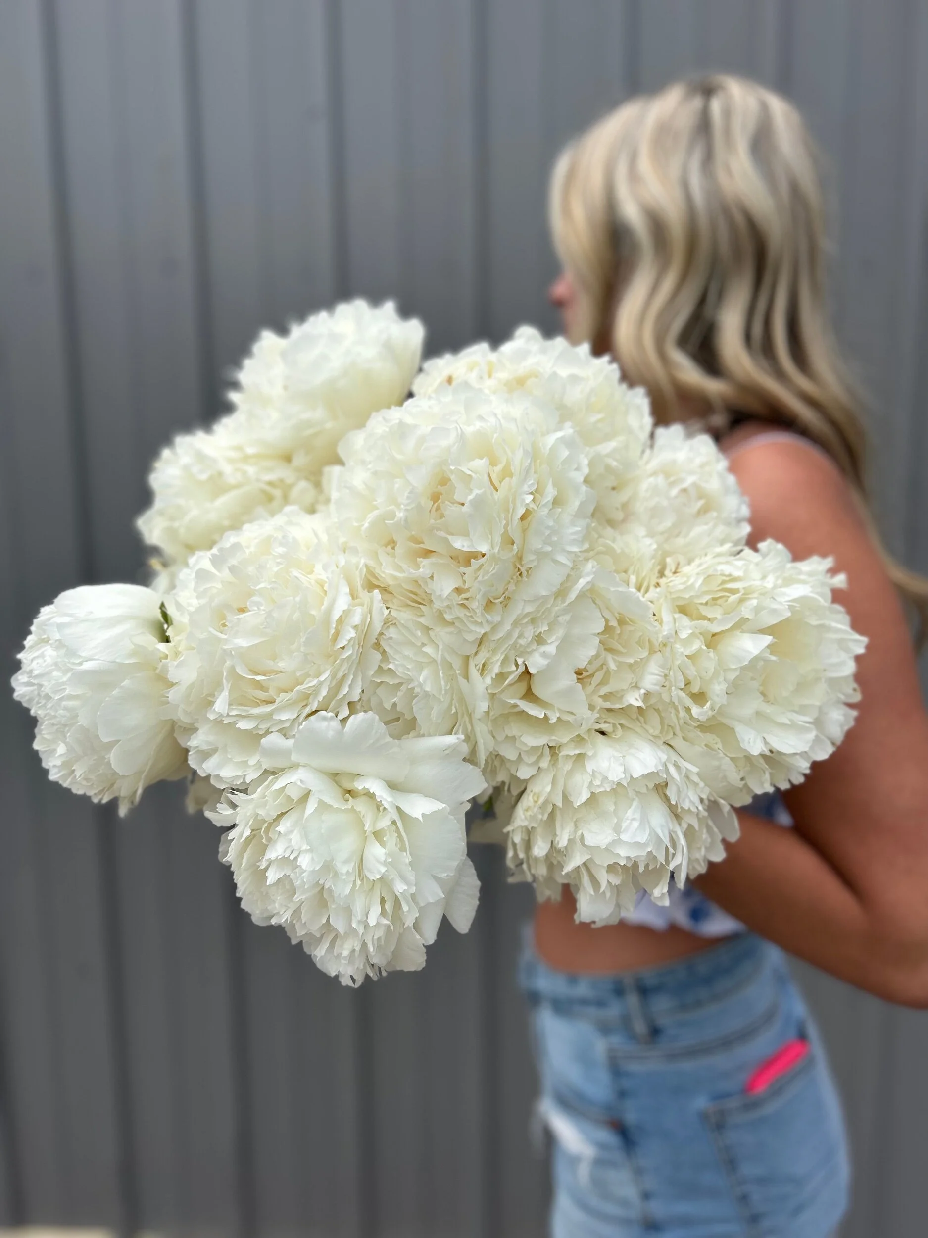 AA75A15A-5644-4A42-AED1-CB749D69148B