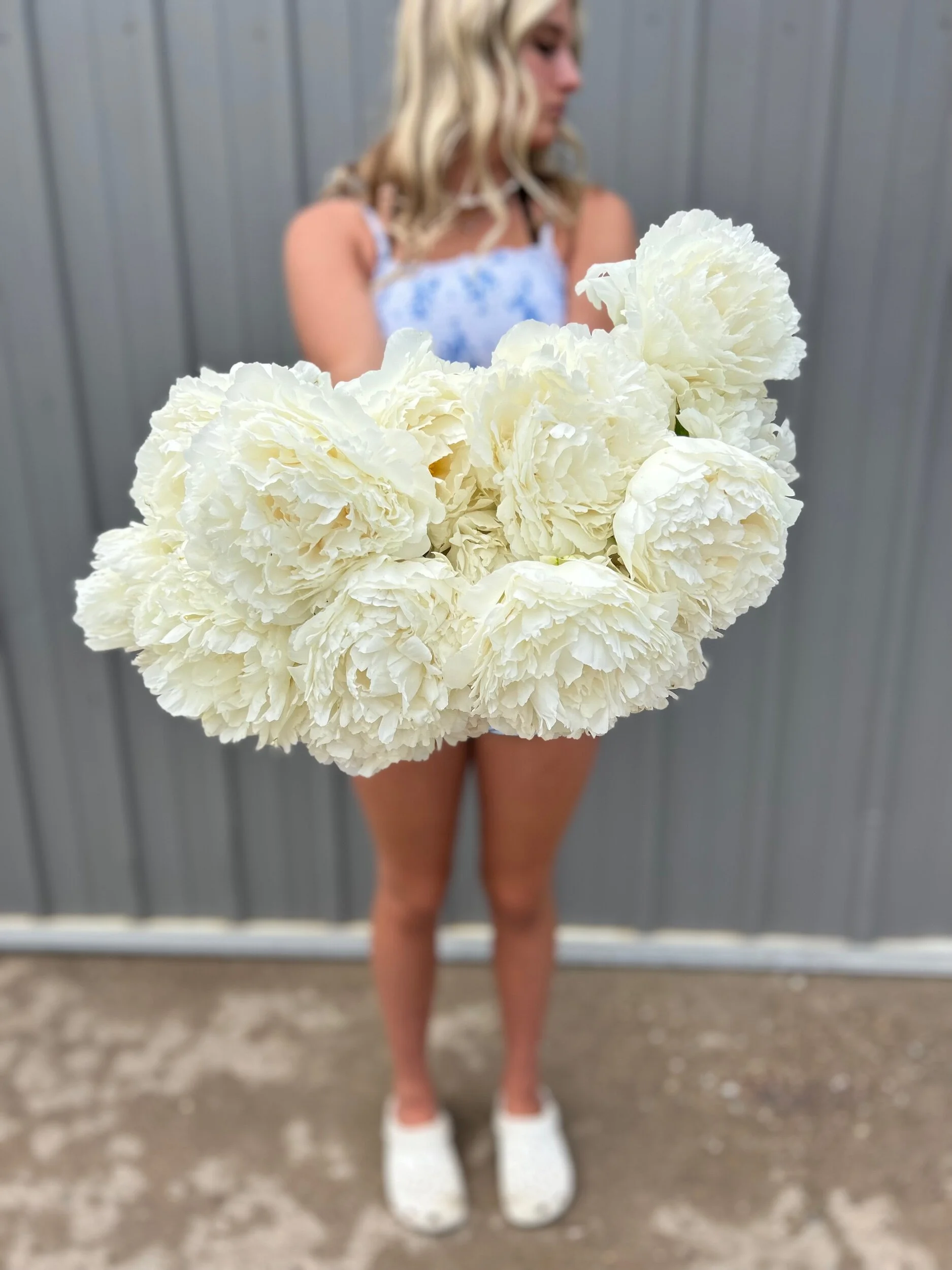 234FCE63-8116-4CEA-A1F3-EACCF19B3B17