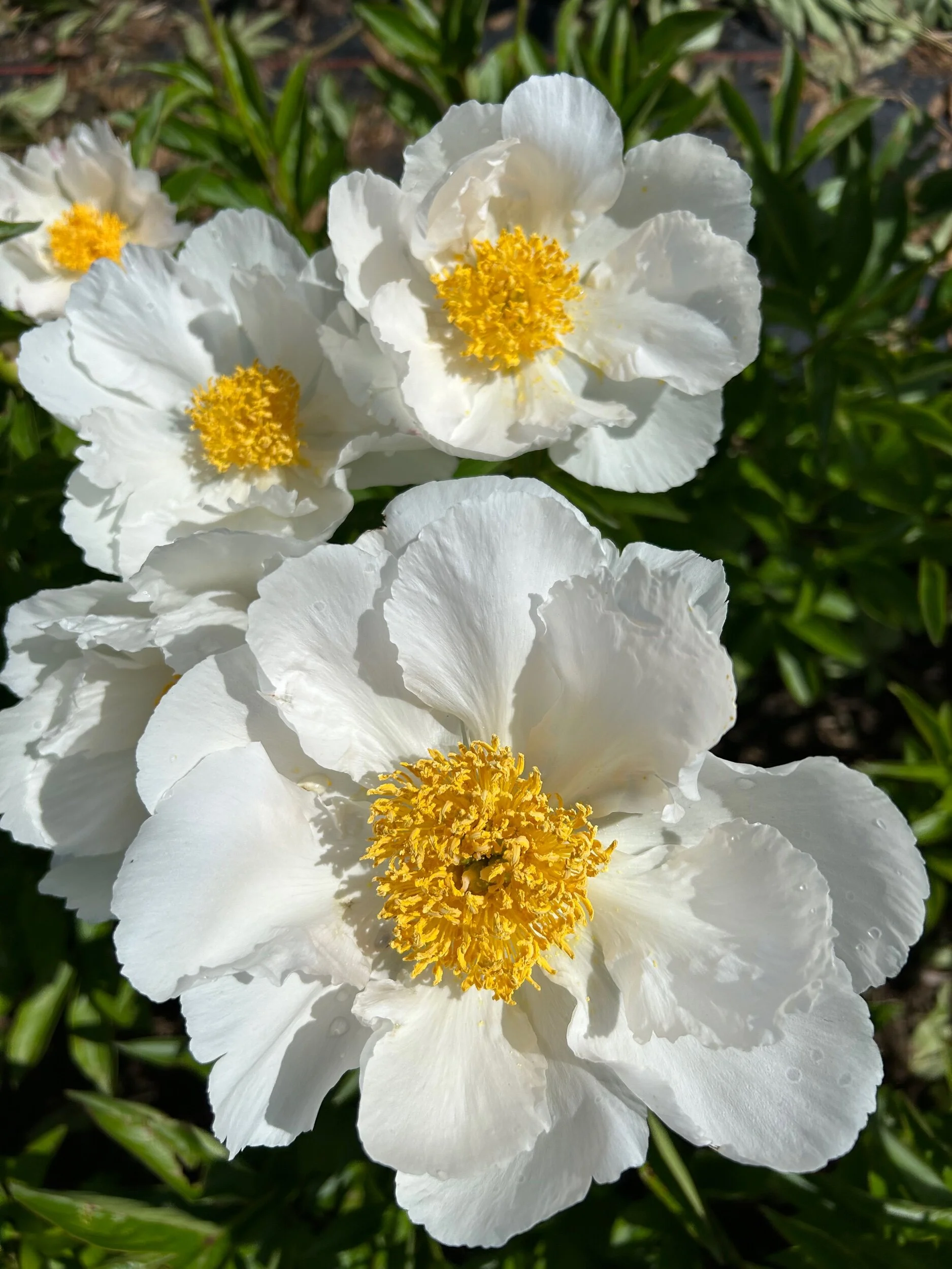 D1024DDC-66B2-415A-92C1-1D217835A518