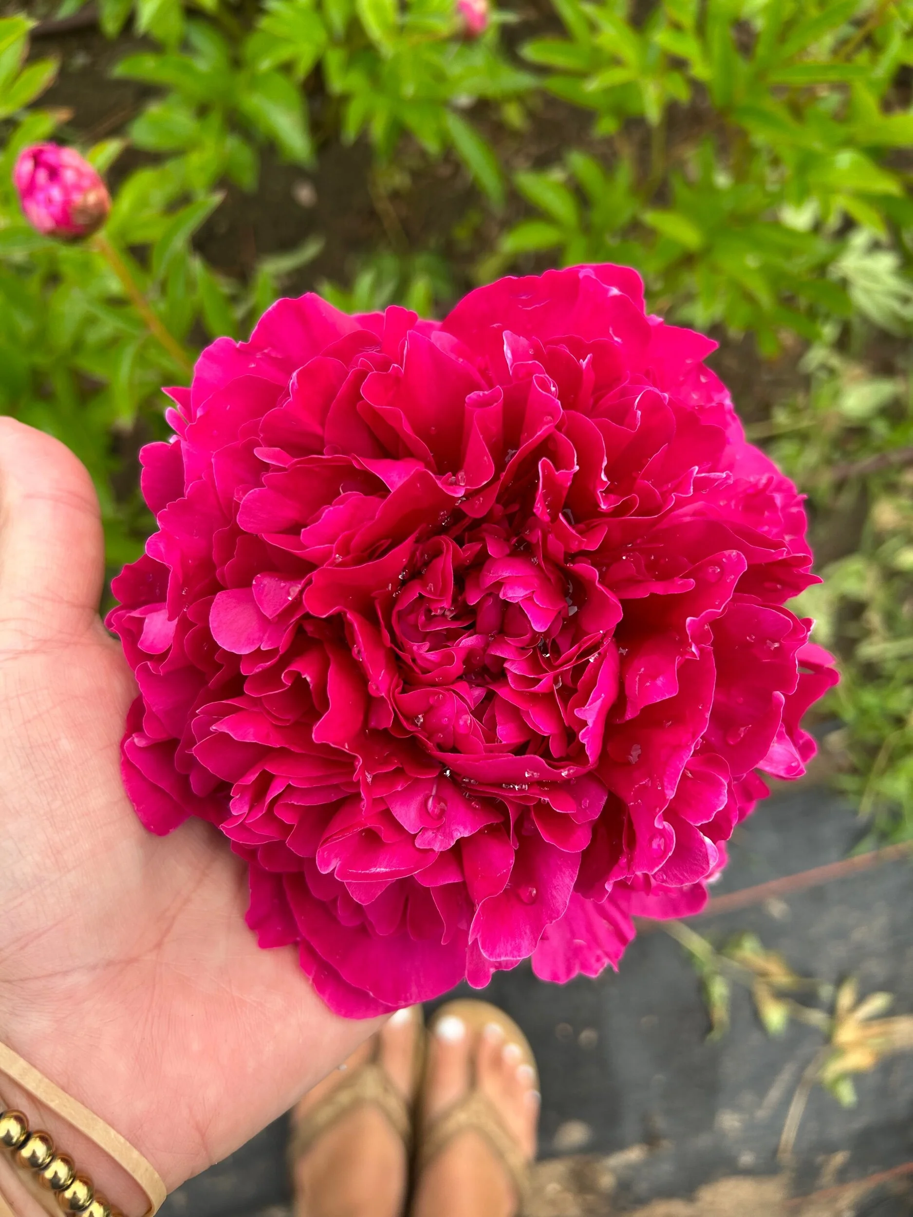 FB962361-316B-4B08-B4D1-22DCF78BC9F3