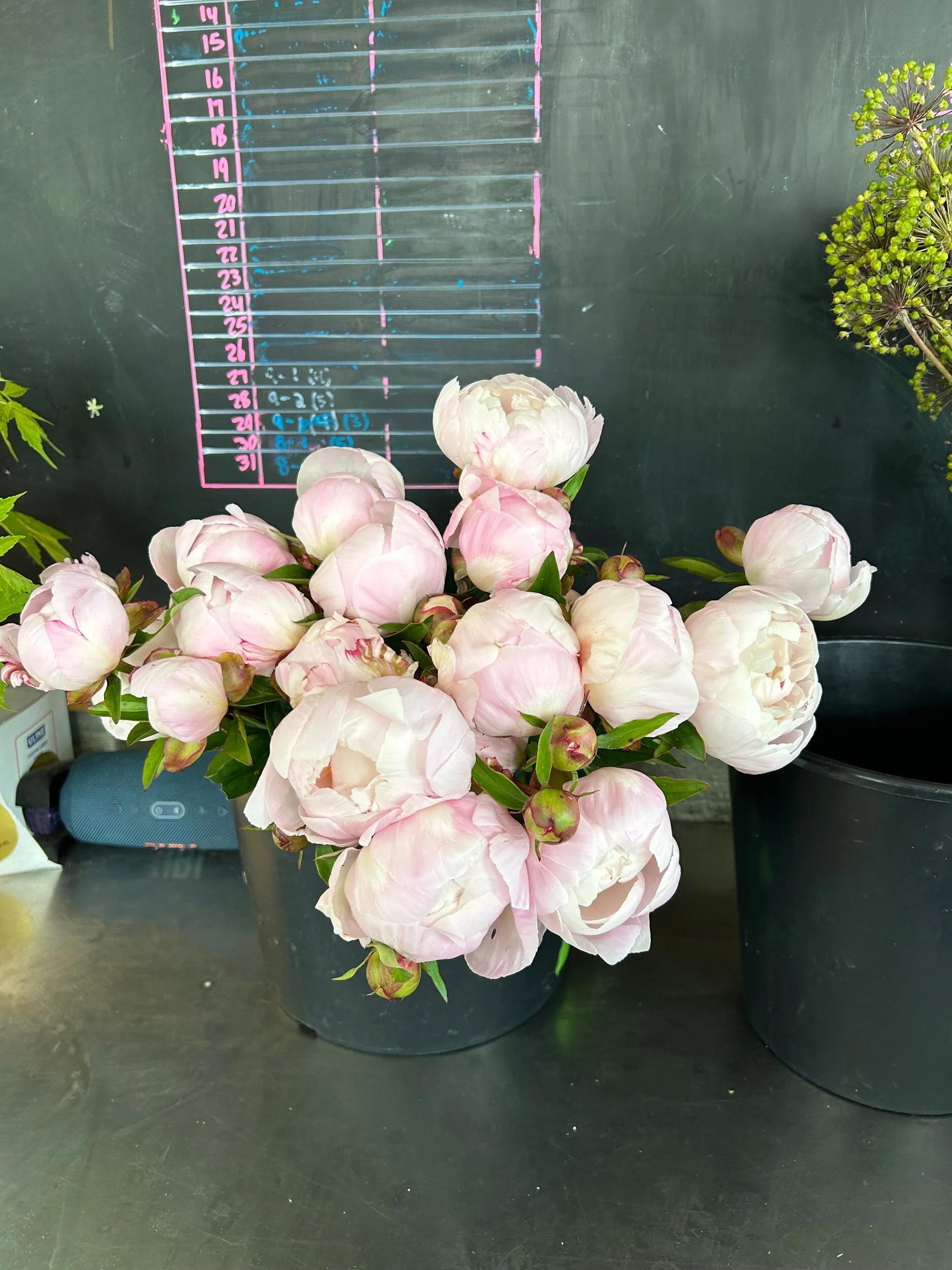 8C55E46B-8A1F-4C09-A9E9-B12414284C8D