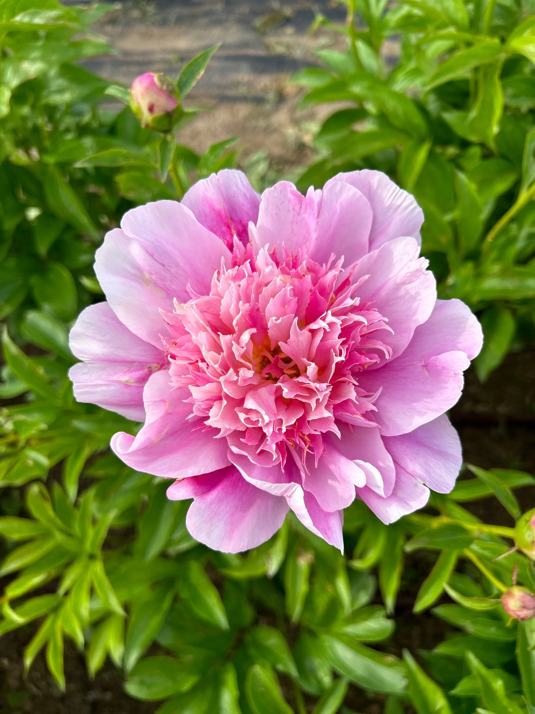 021D79A3-3AAA-456C-B1C9-C6C7CA96D268