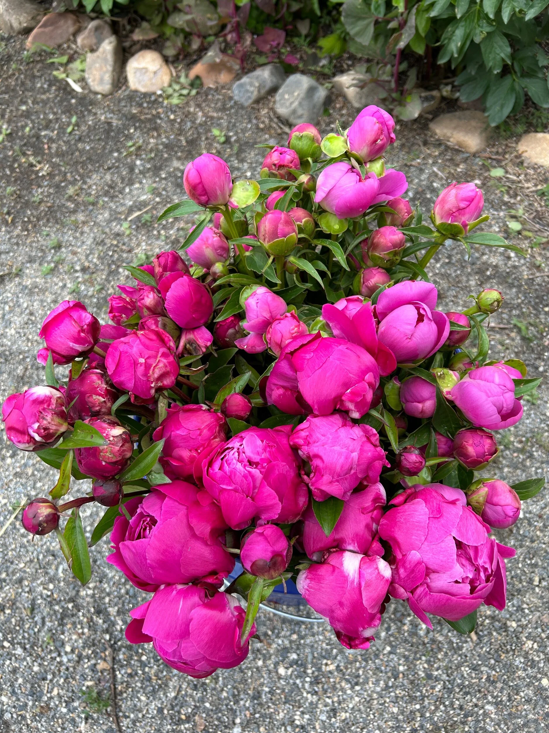 C24AE533-D155-4489-B3FB-1B63CEE336DD