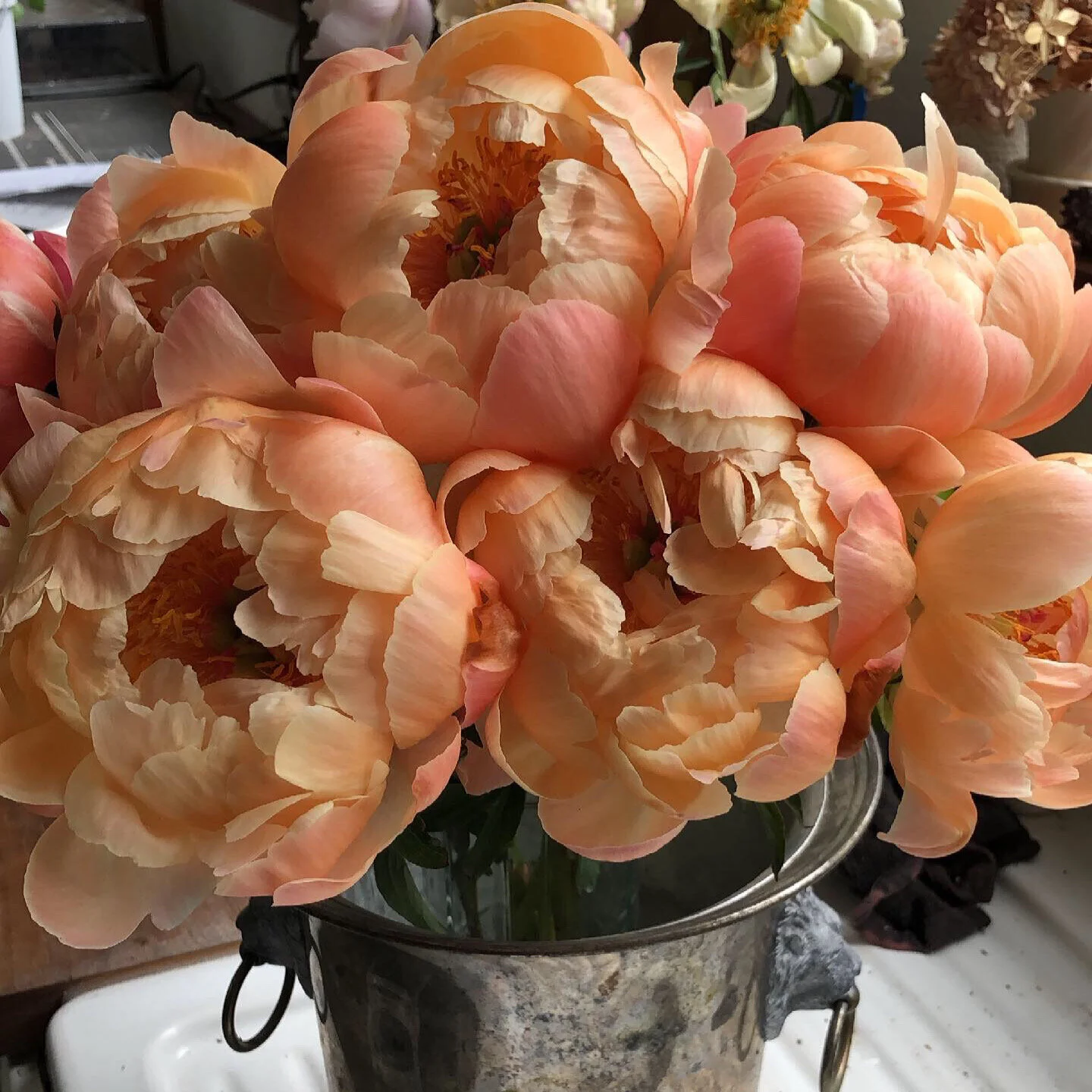 21F2FF17-E74B-455D-90F6-C0BDC1938A50