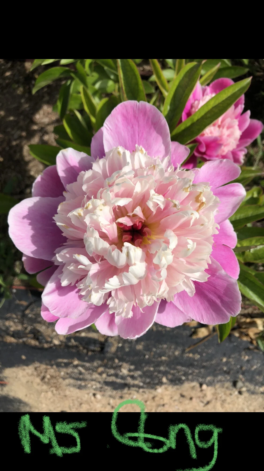 96E968B9-7E84-4542-9678-ED3B091EB5FB