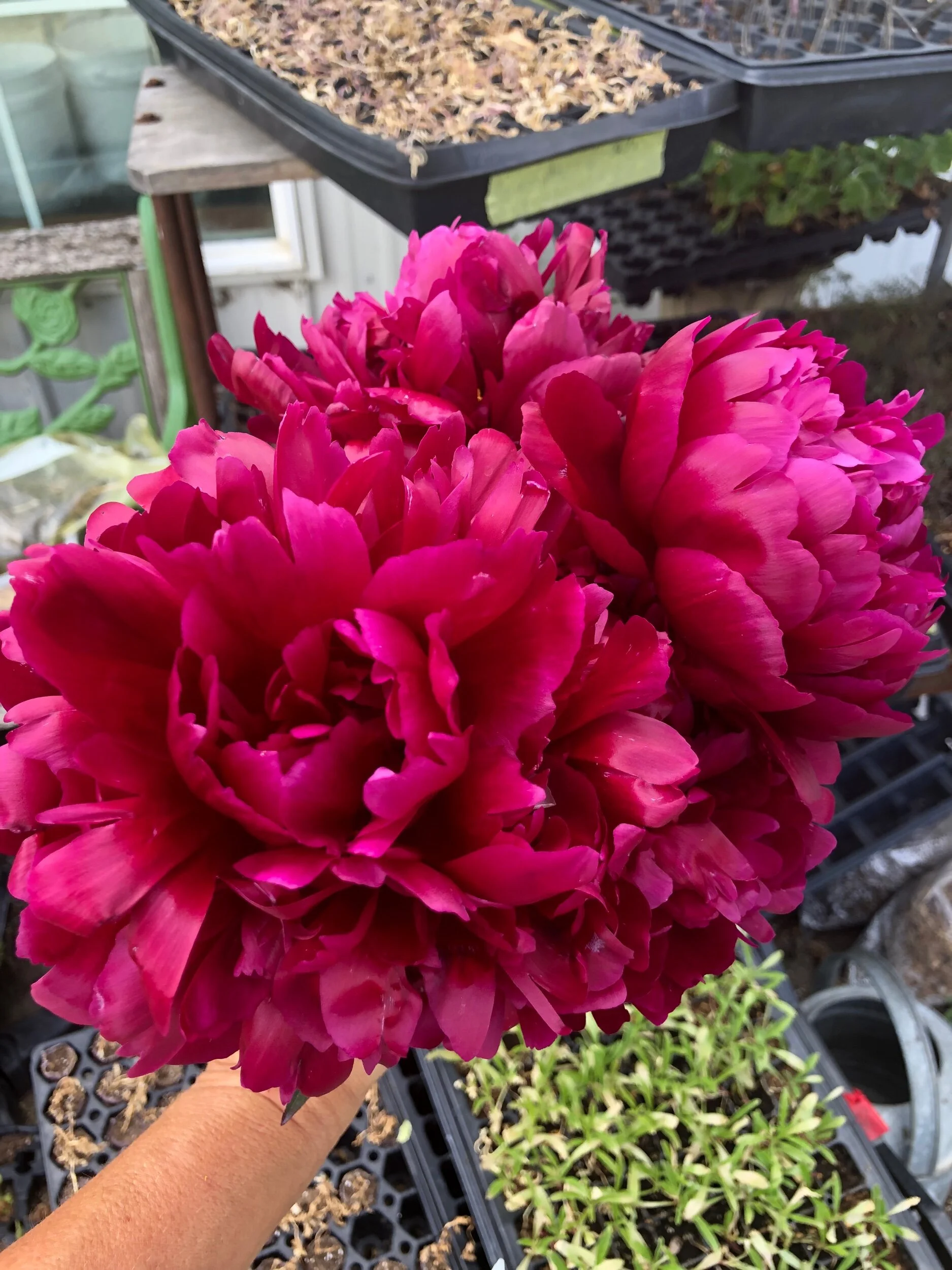 5A102142-5465-4B35-AA8E-195156F52894