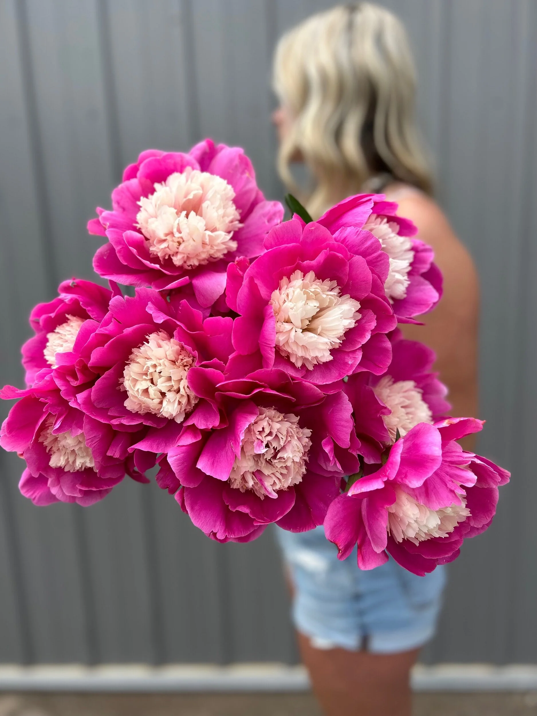 E03752A5-827E-4006-85D5-1601B01B49C6