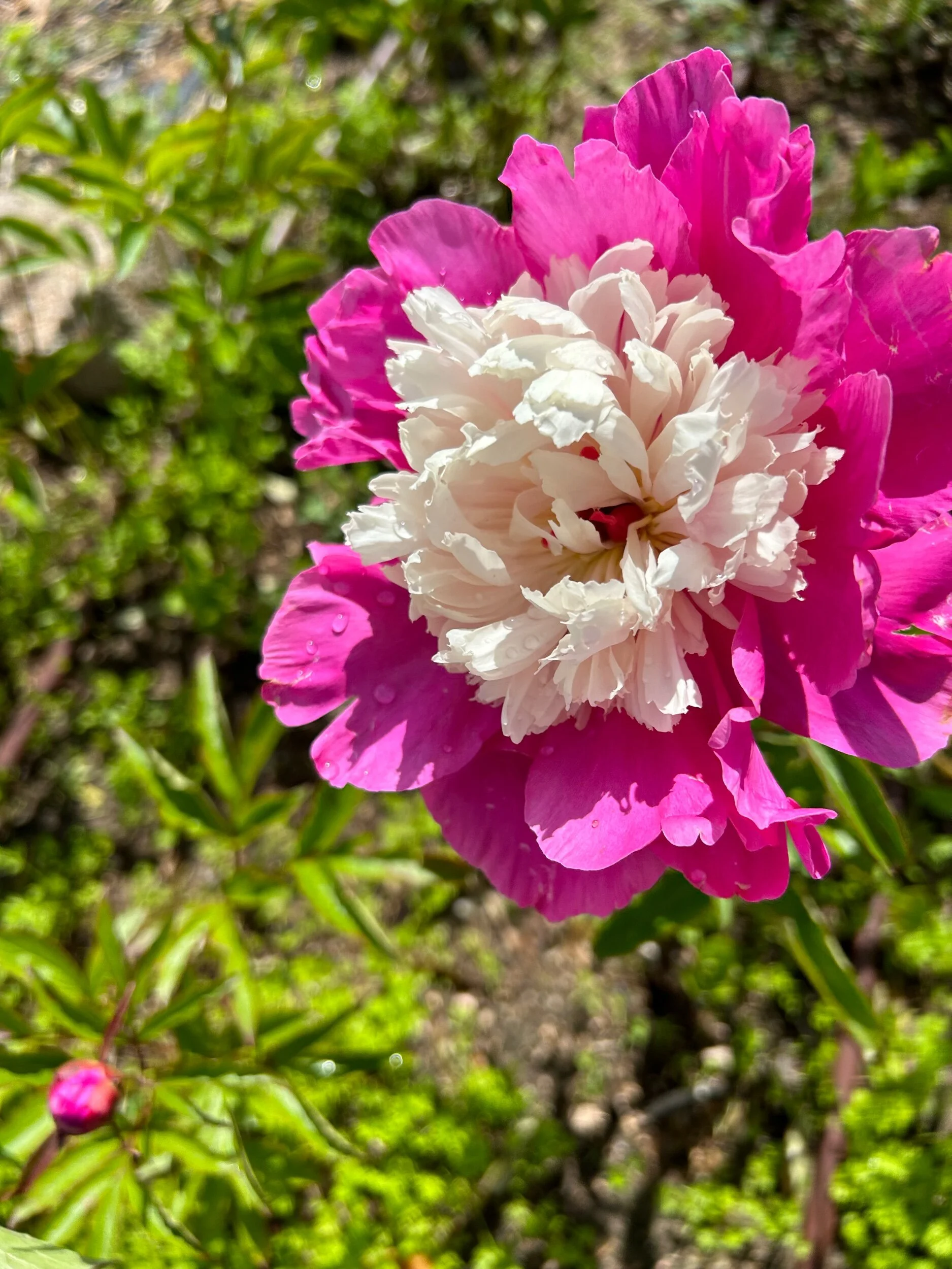 431D813A-B99C-4800-B0A8-FF65D43E89C7